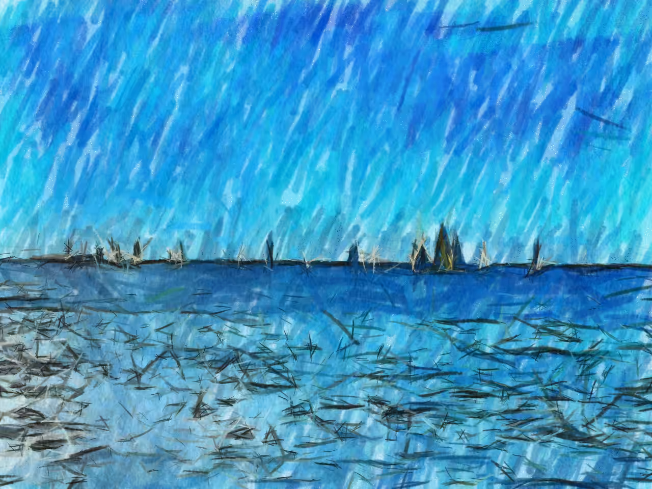 sailing competition