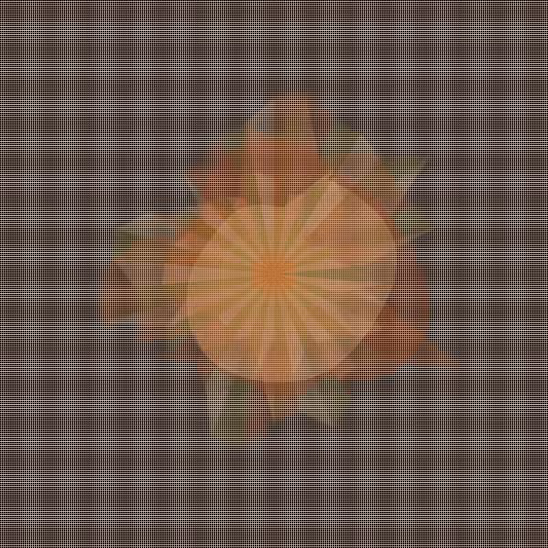 polygonal rewarp #33