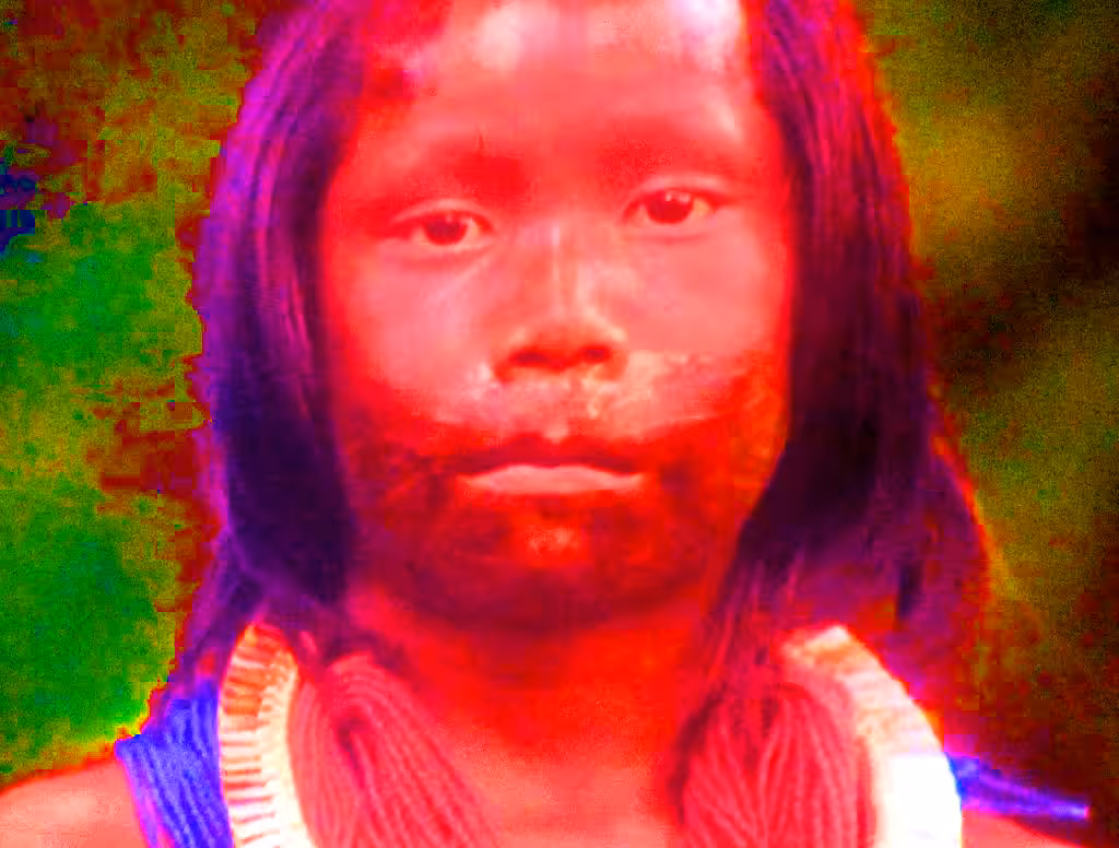 Take the color of God, be rebellious, never lean down, never, for any damn money.
