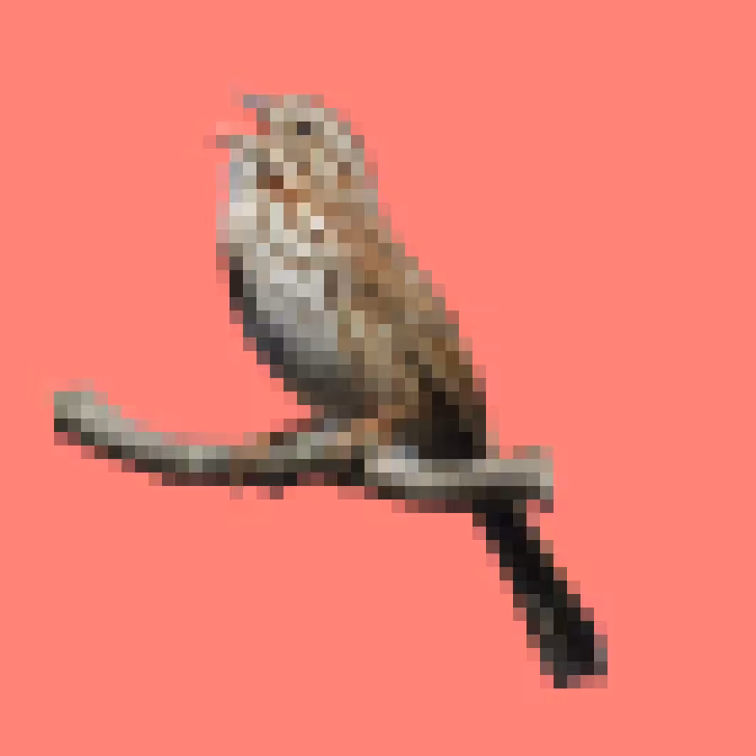 PixlBird #015