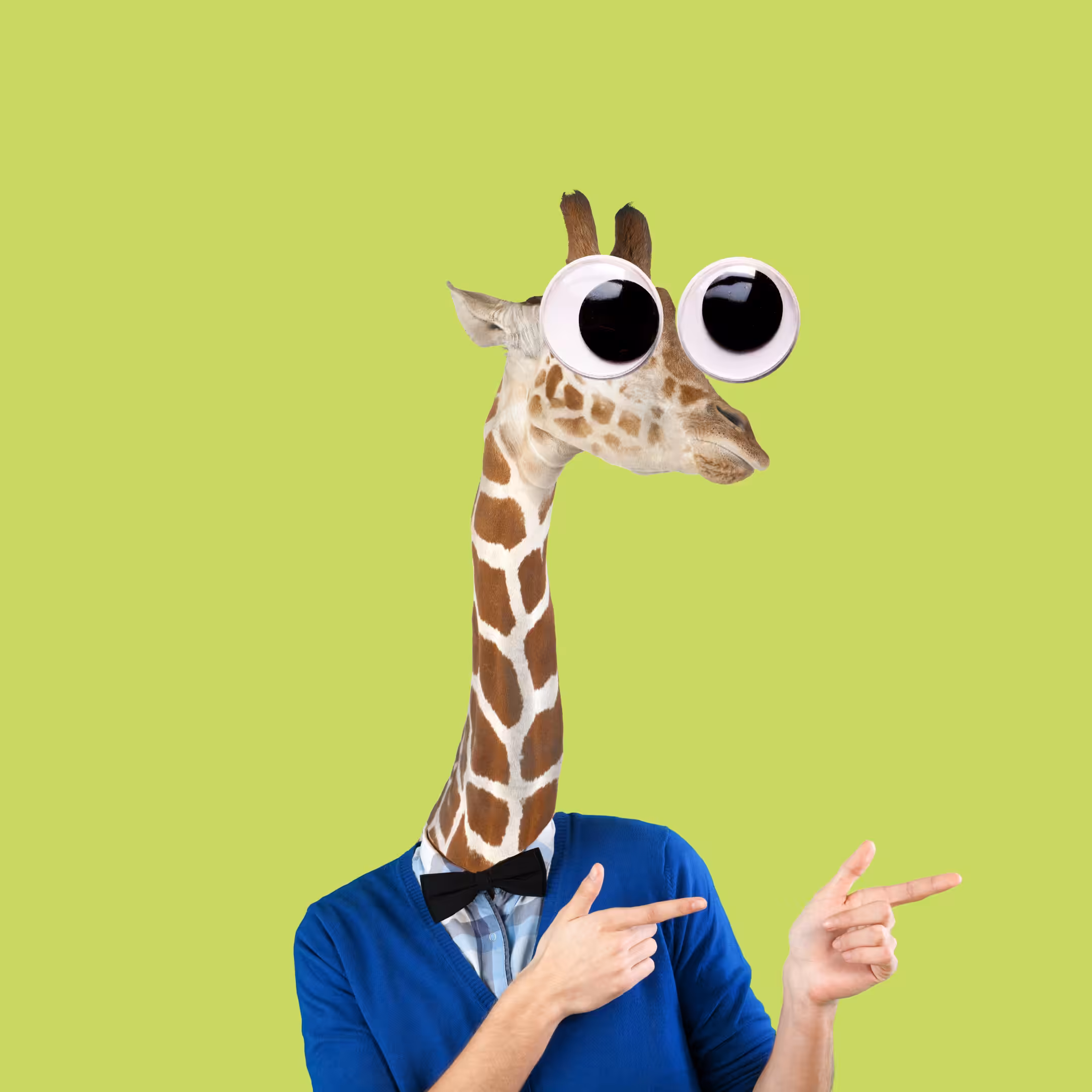 Giraffe Gang #3