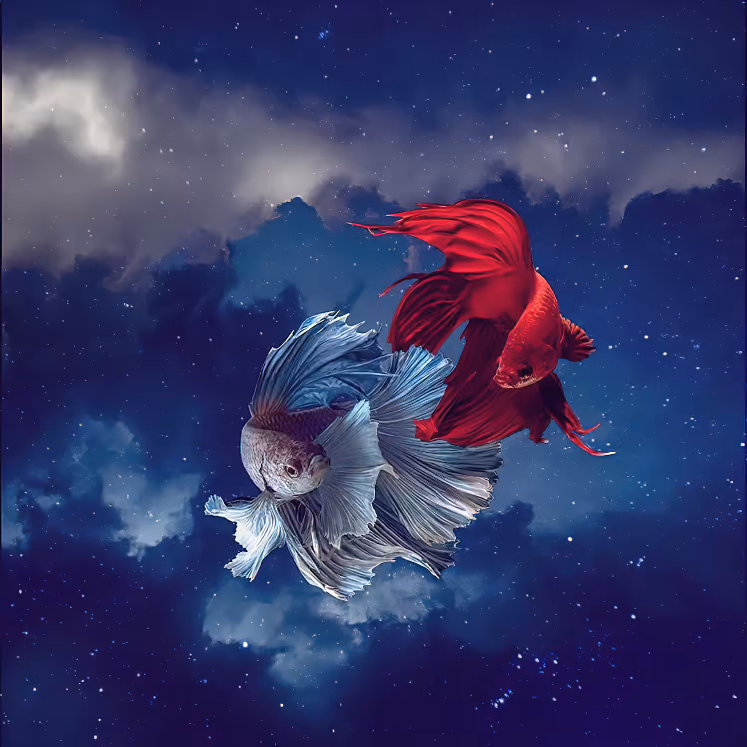 Ocean of Dreams