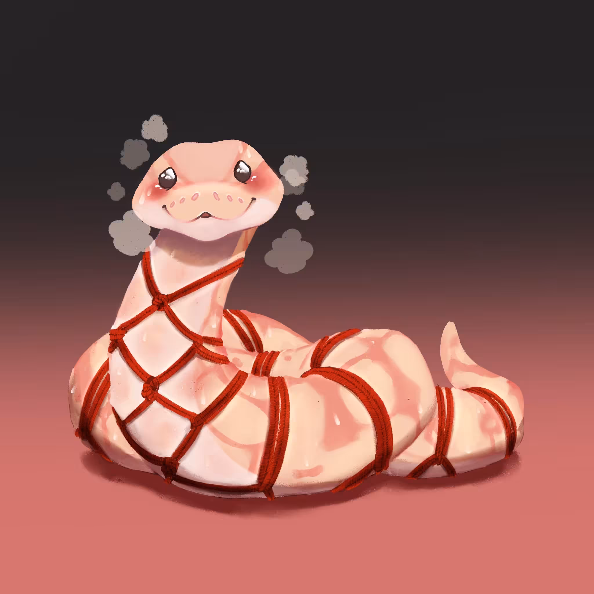 Shibari Python#17