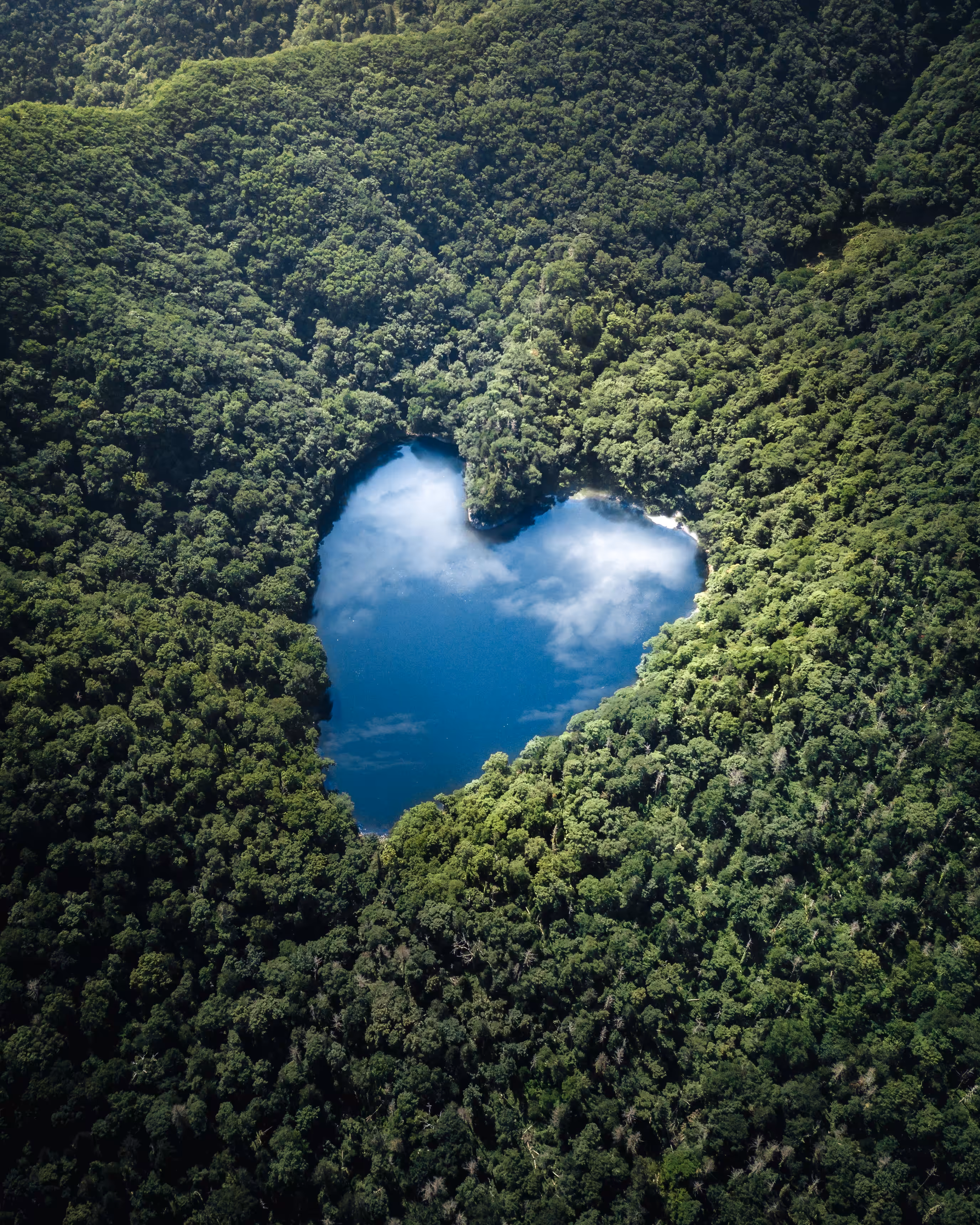 The Blue Heart
