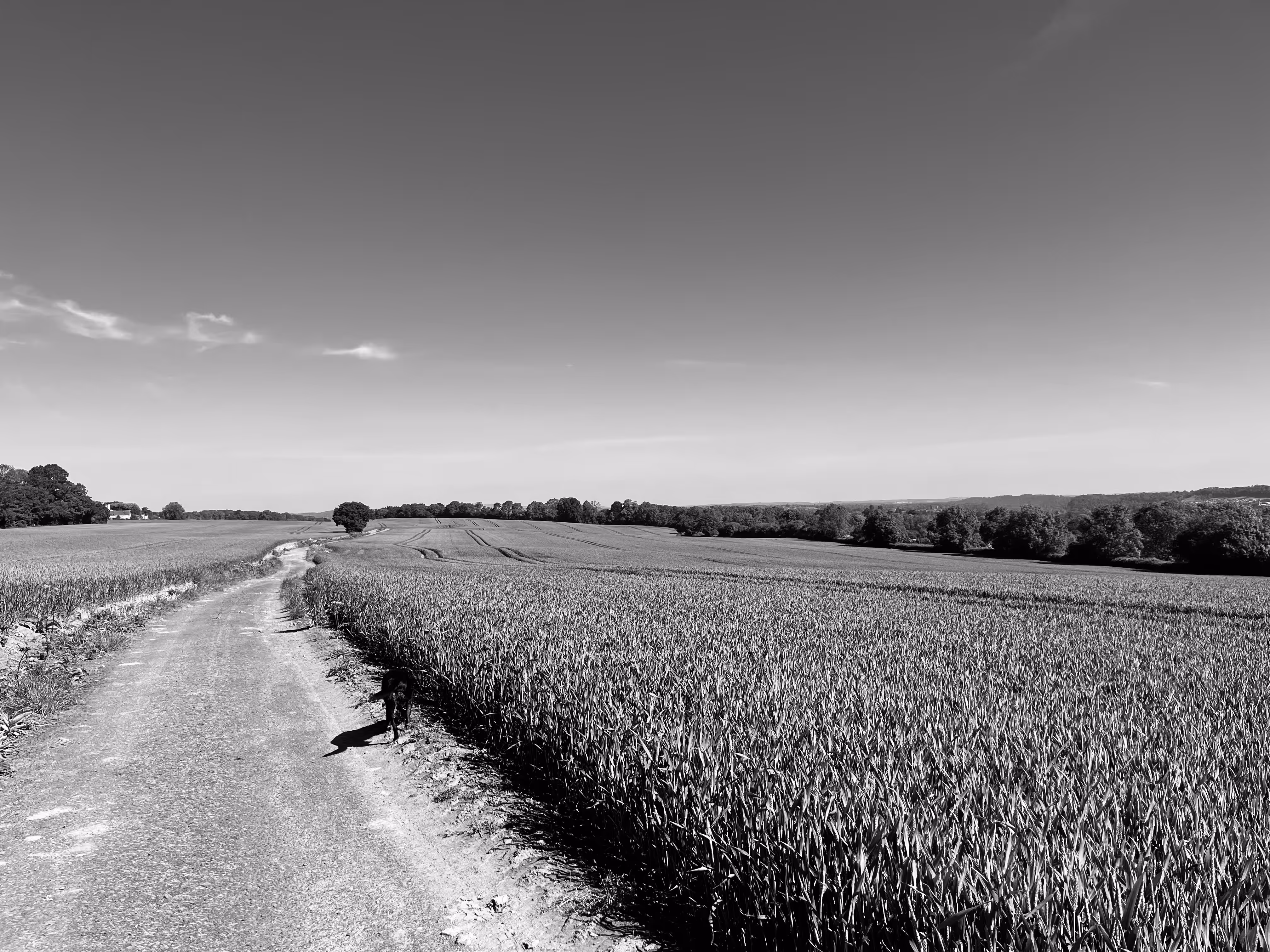 just meandering along 