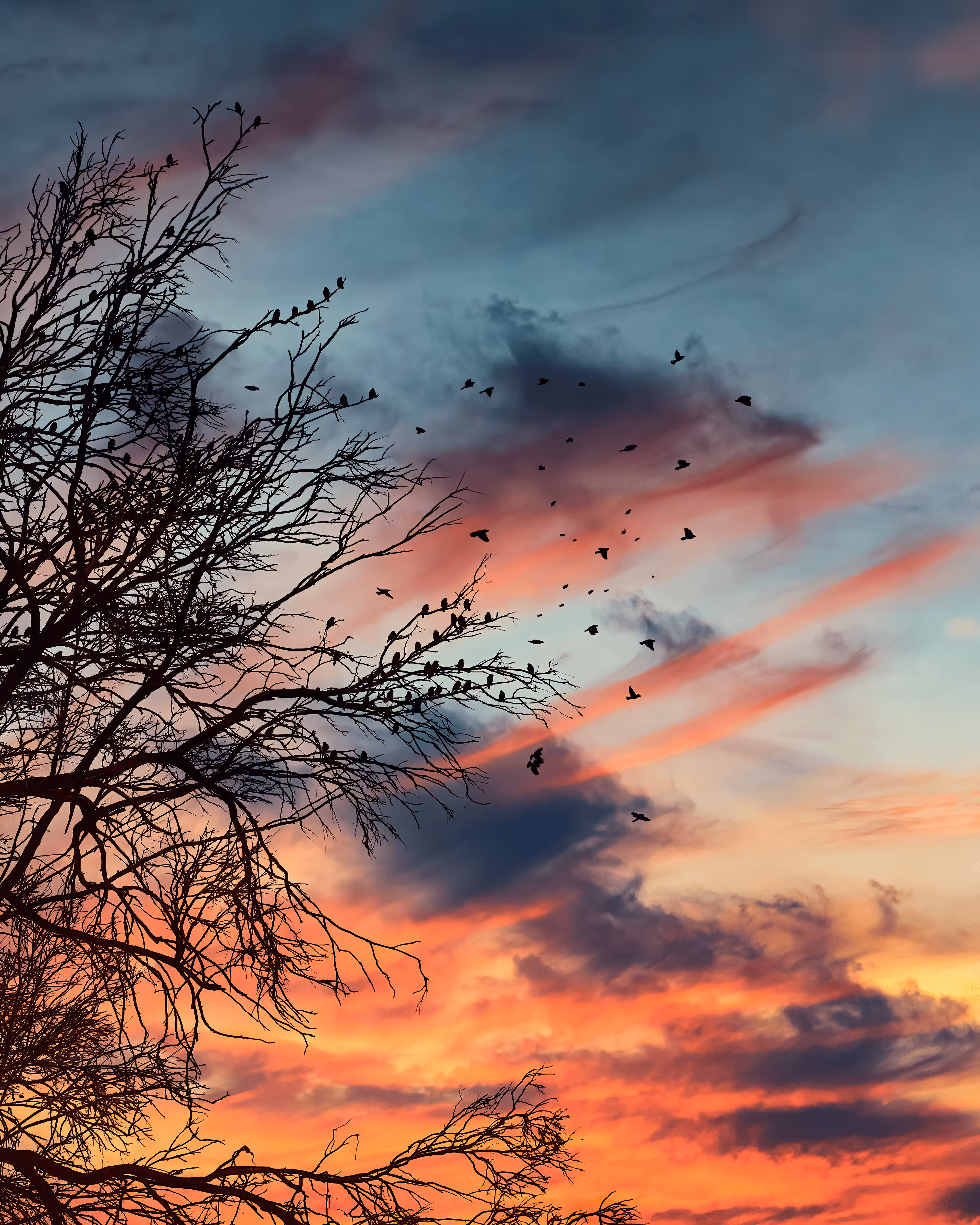 Flock of Us #30