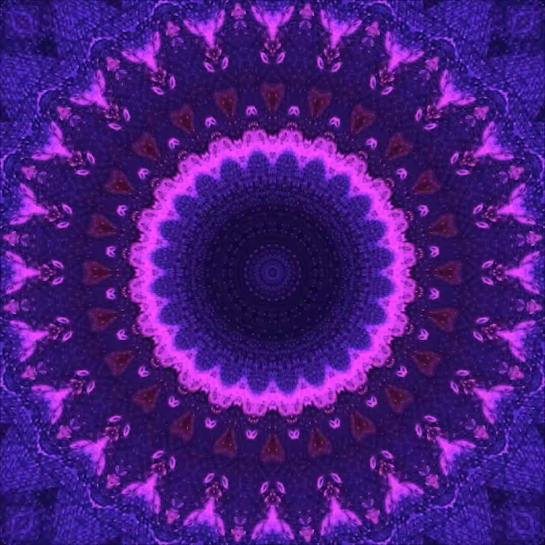 Flower Bloom