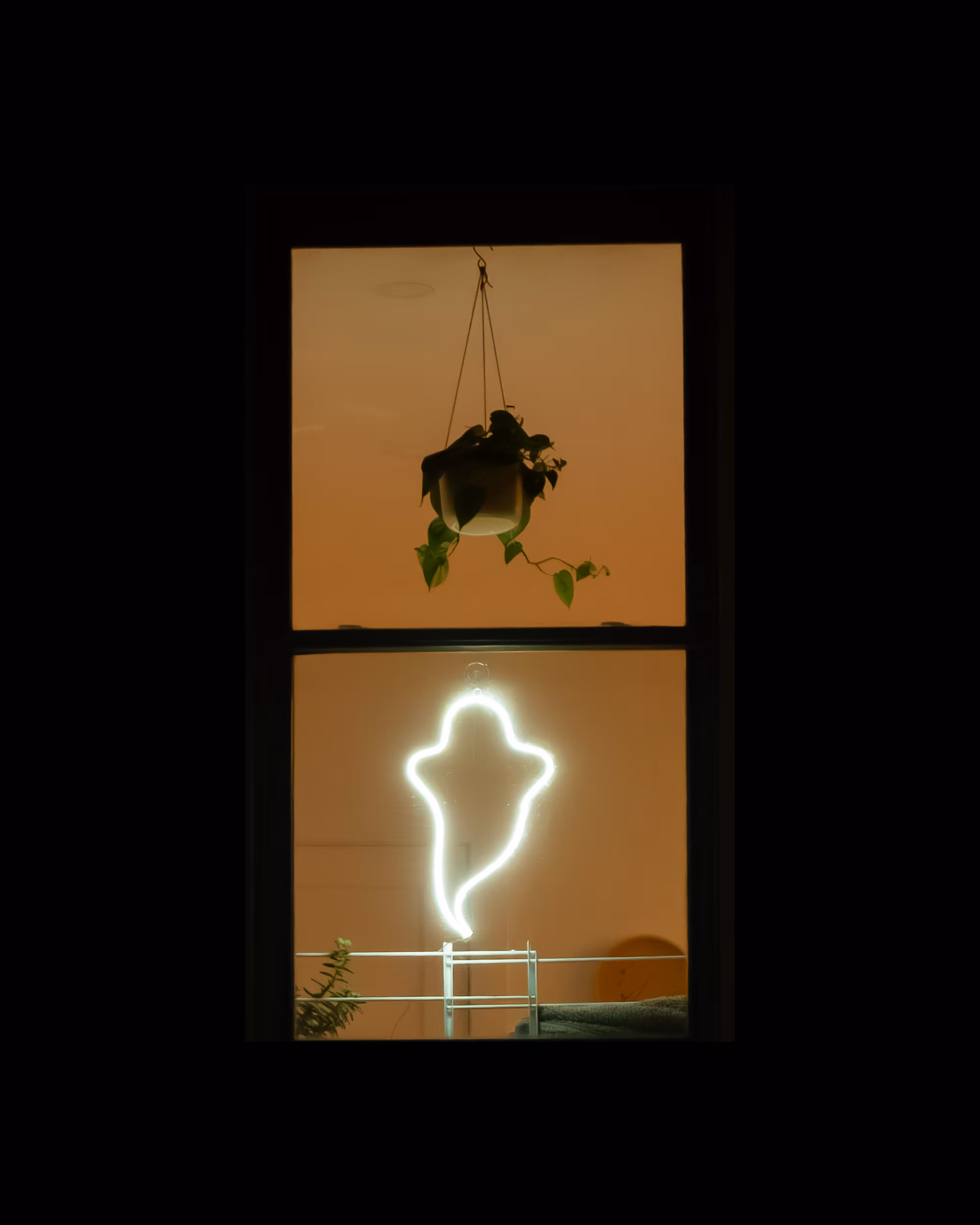 WINDOW 144
