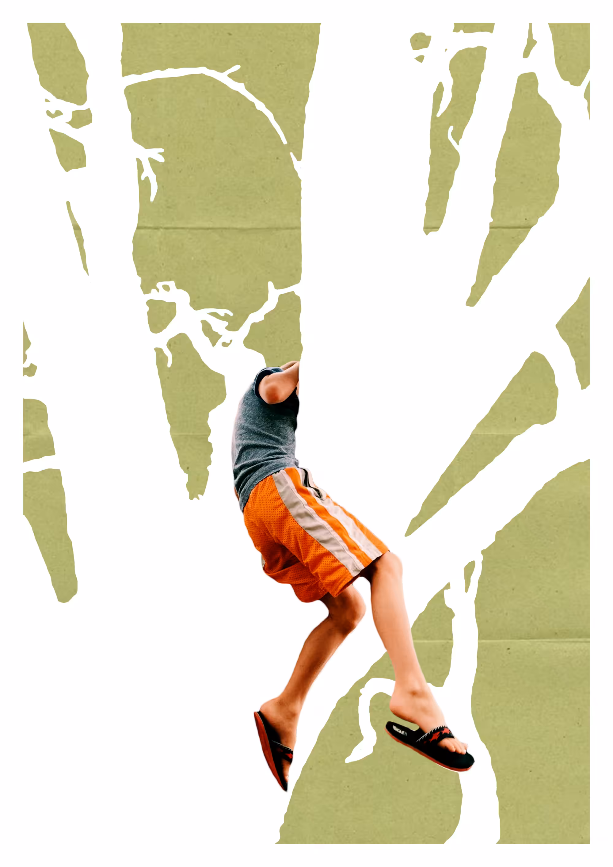 The Missing Tree