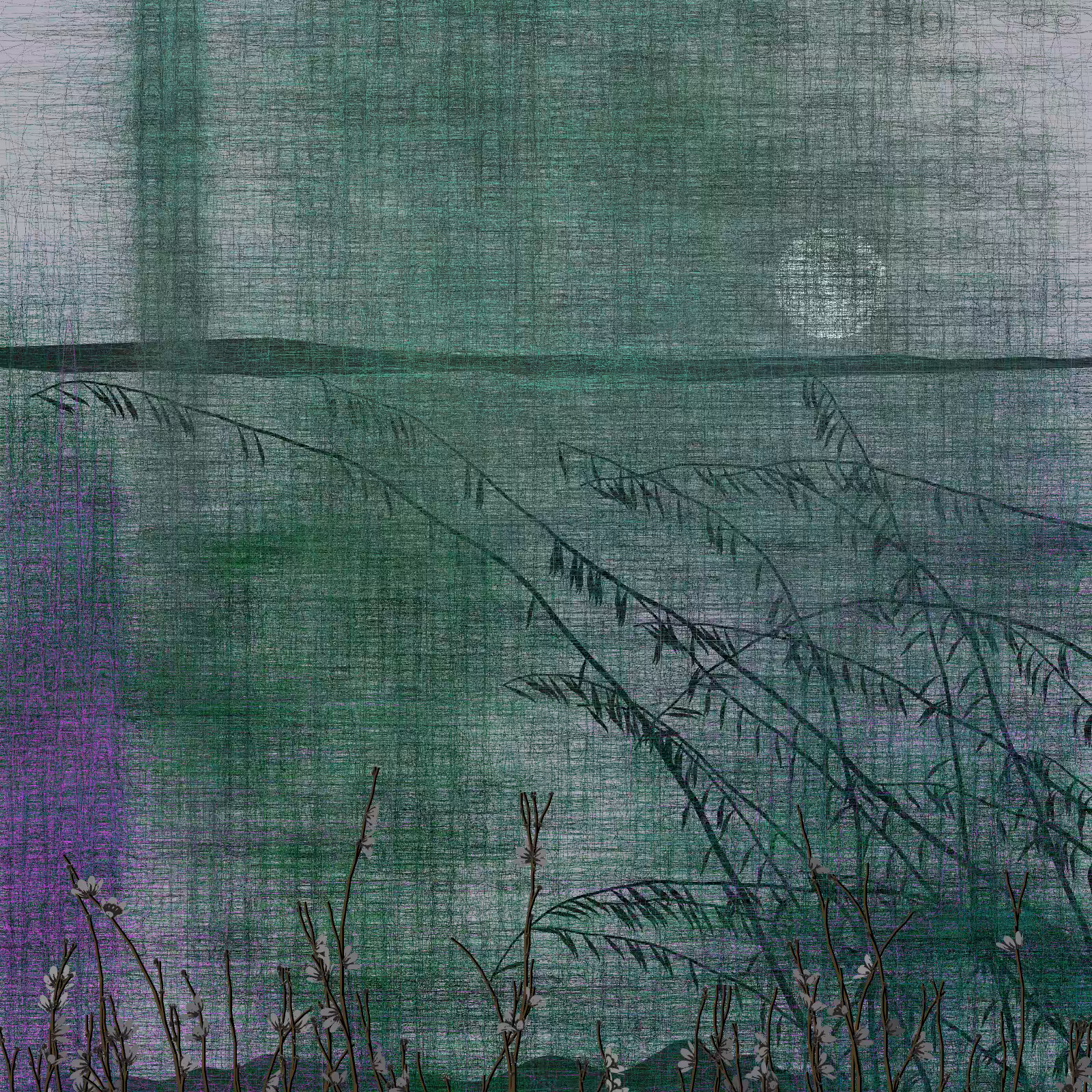 Echoes #30