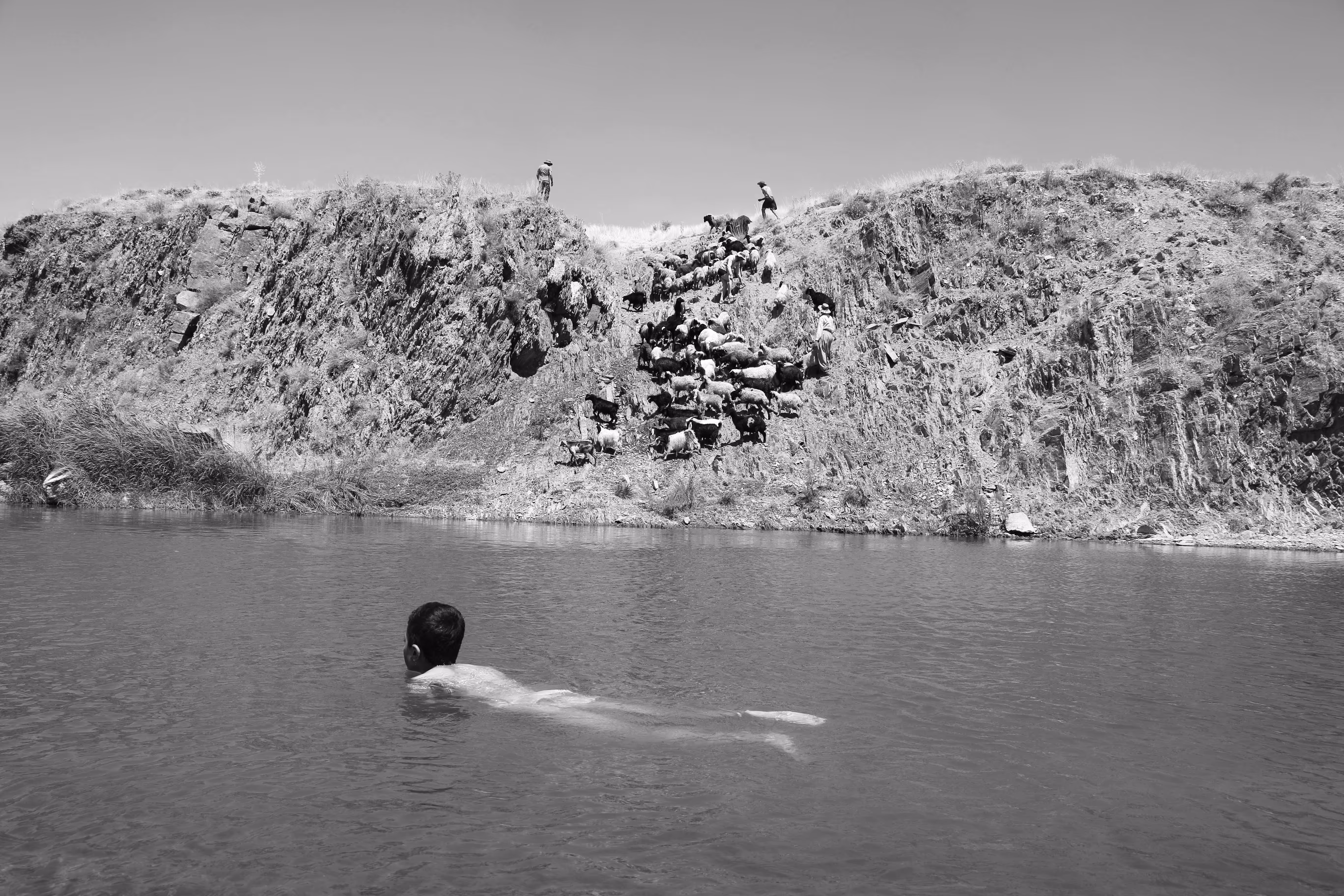 Childhood summer