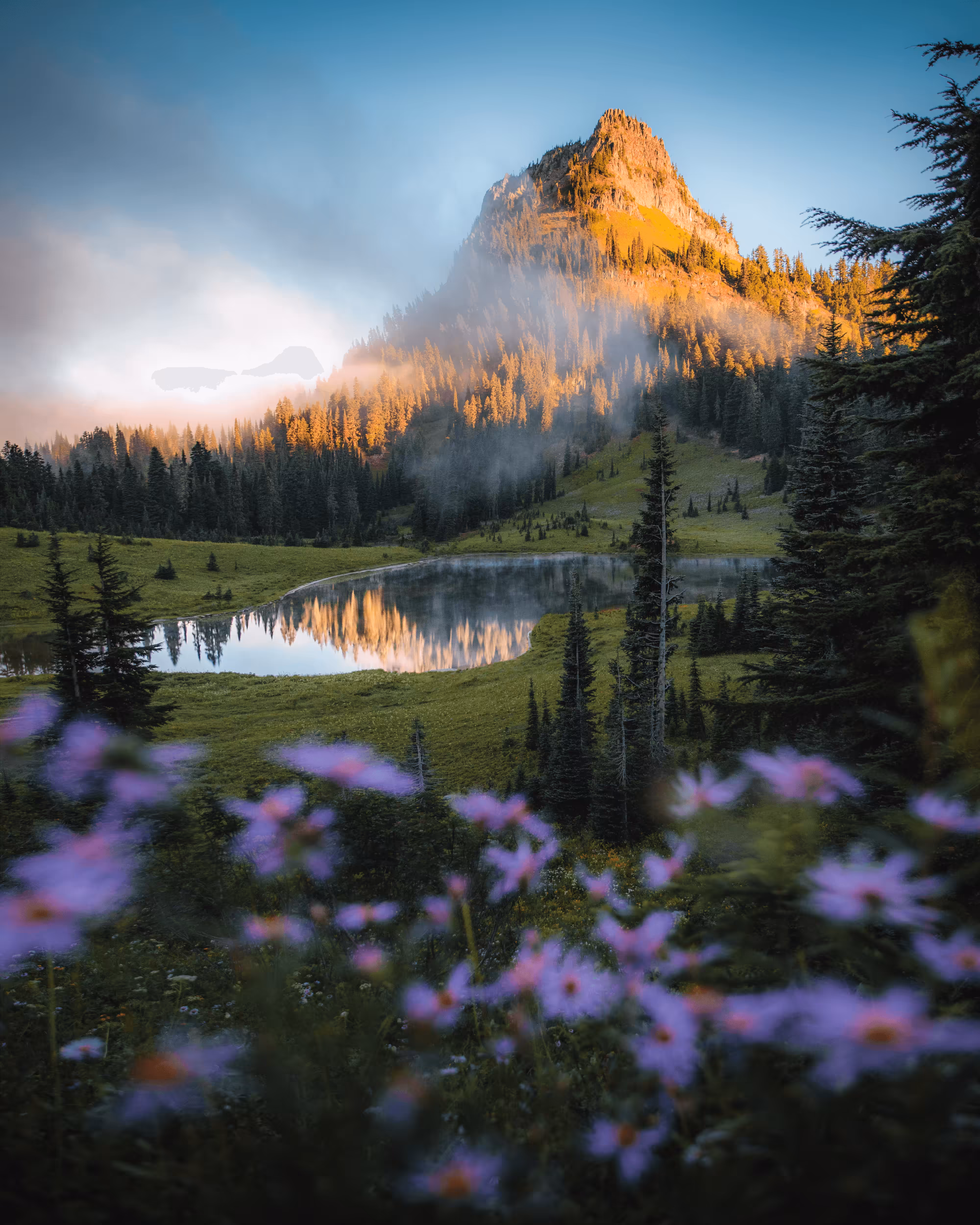 #21: Fantastic Flowers