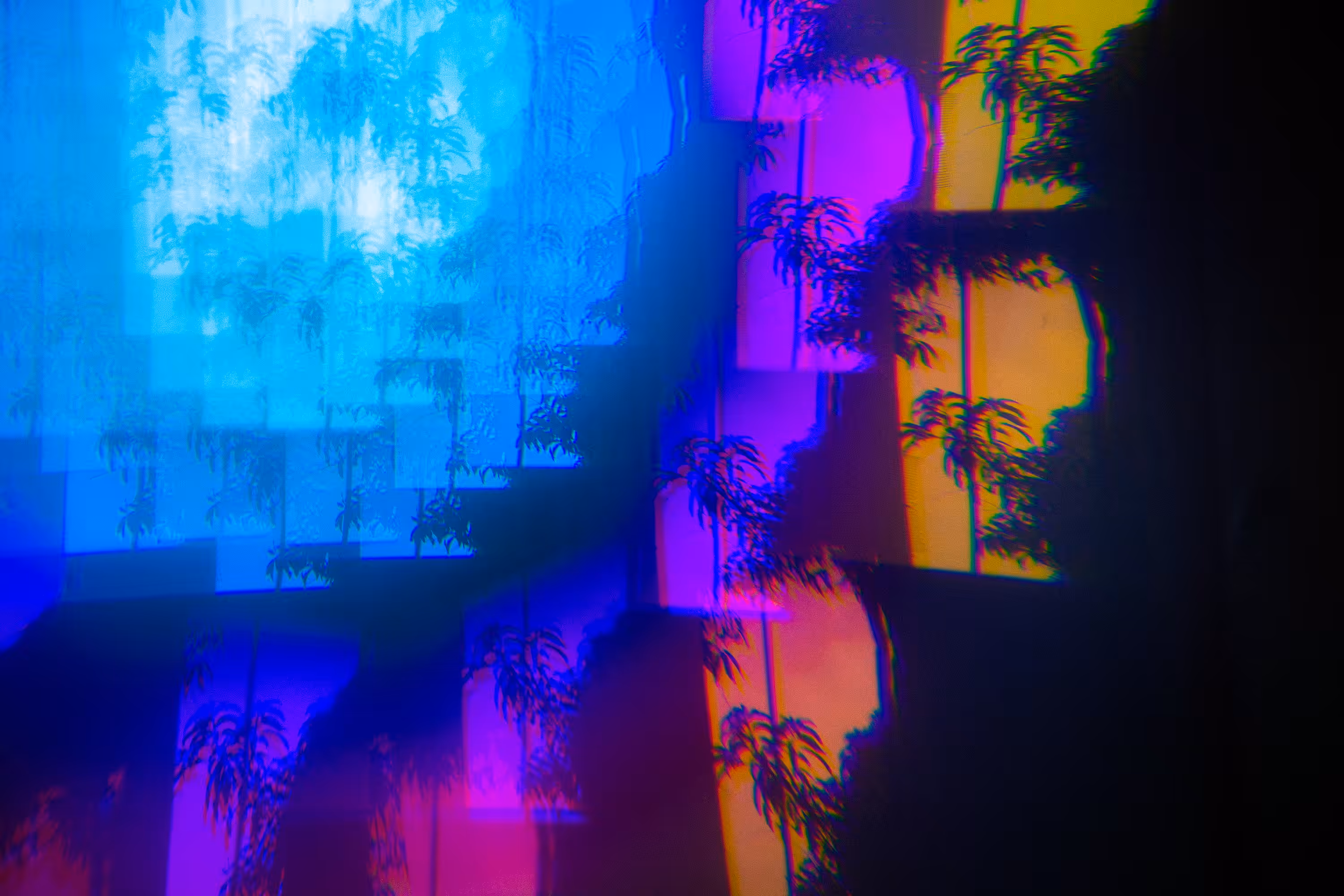Branches
