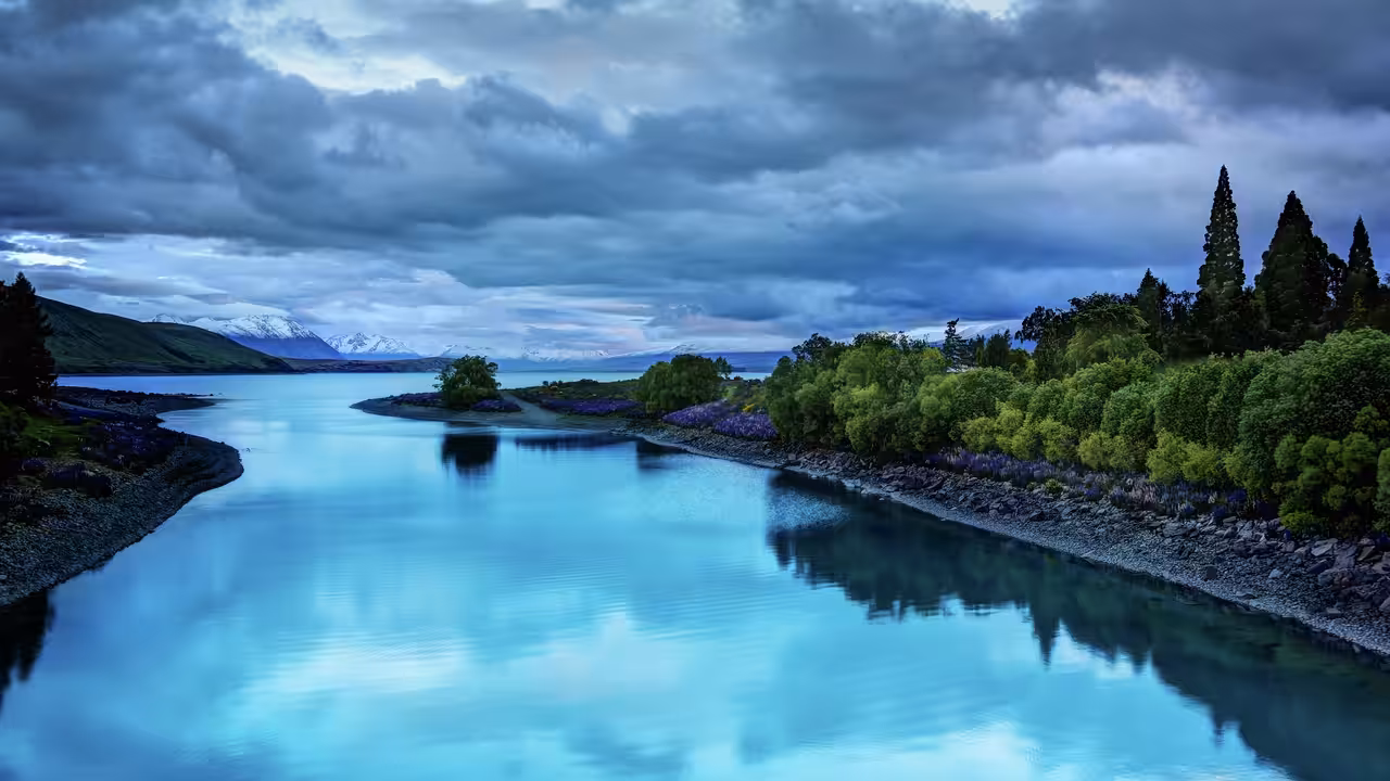 #2: The Blues. New Zealand.