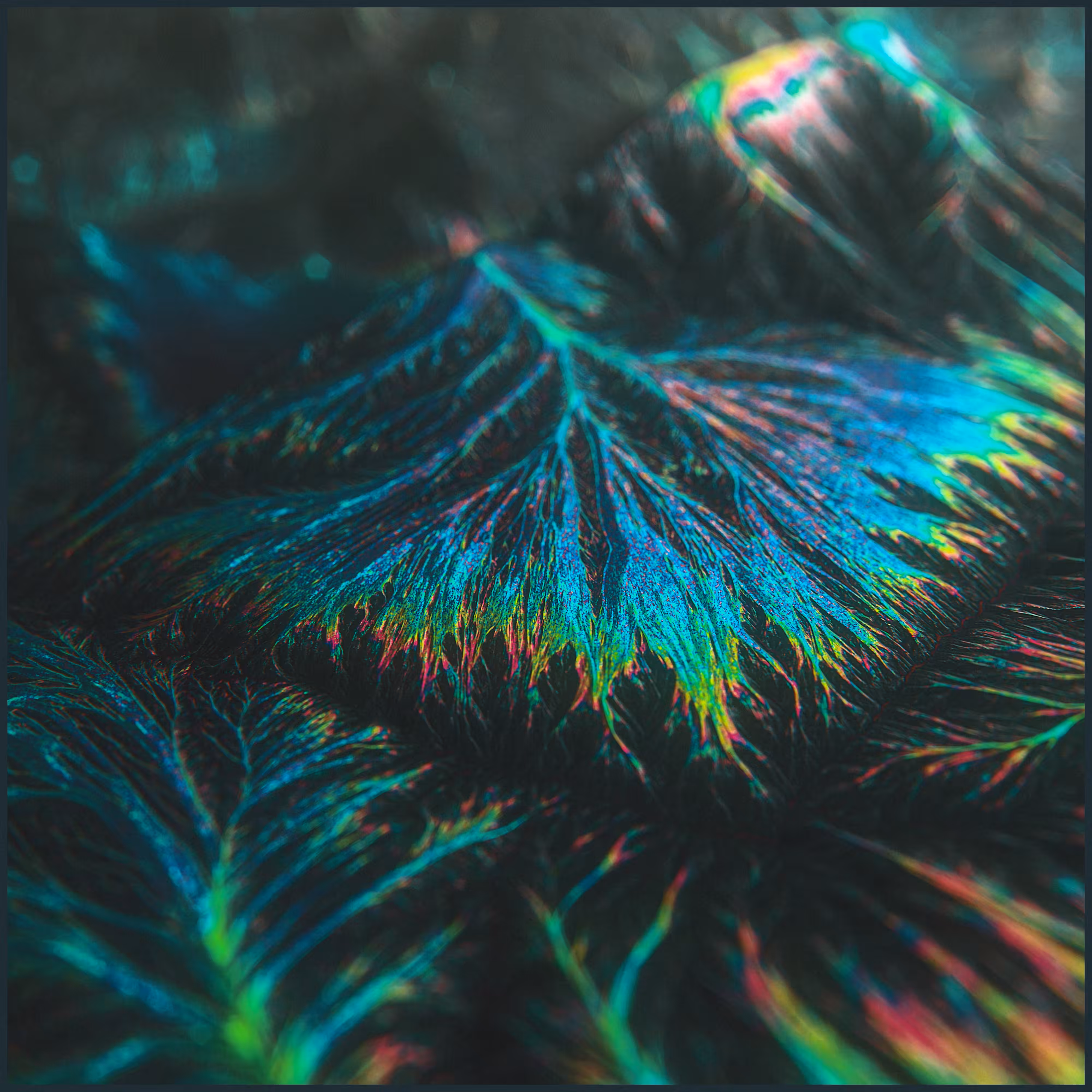 NEGATIVVE LΛΛNDSCAPE 0131