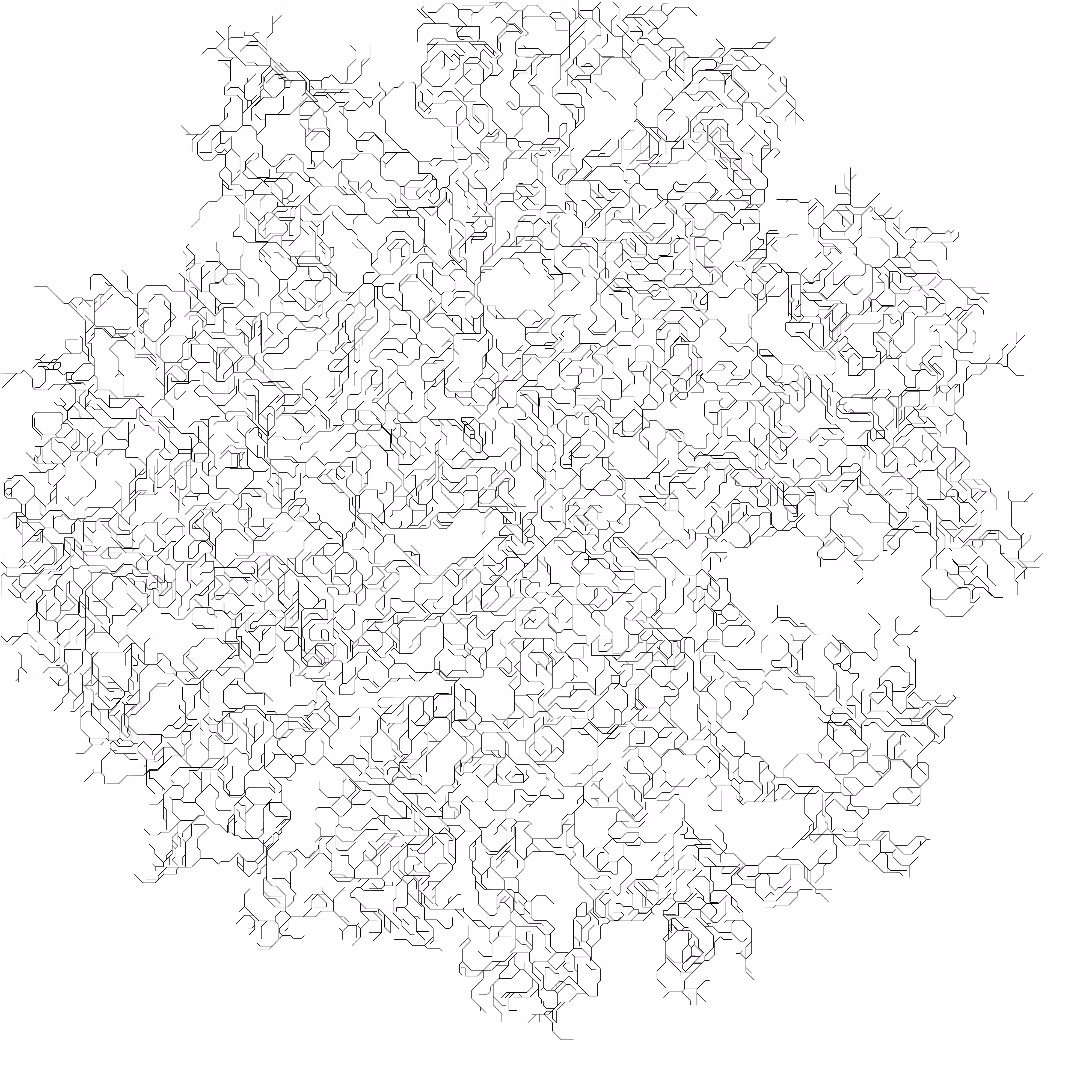 Branch 2