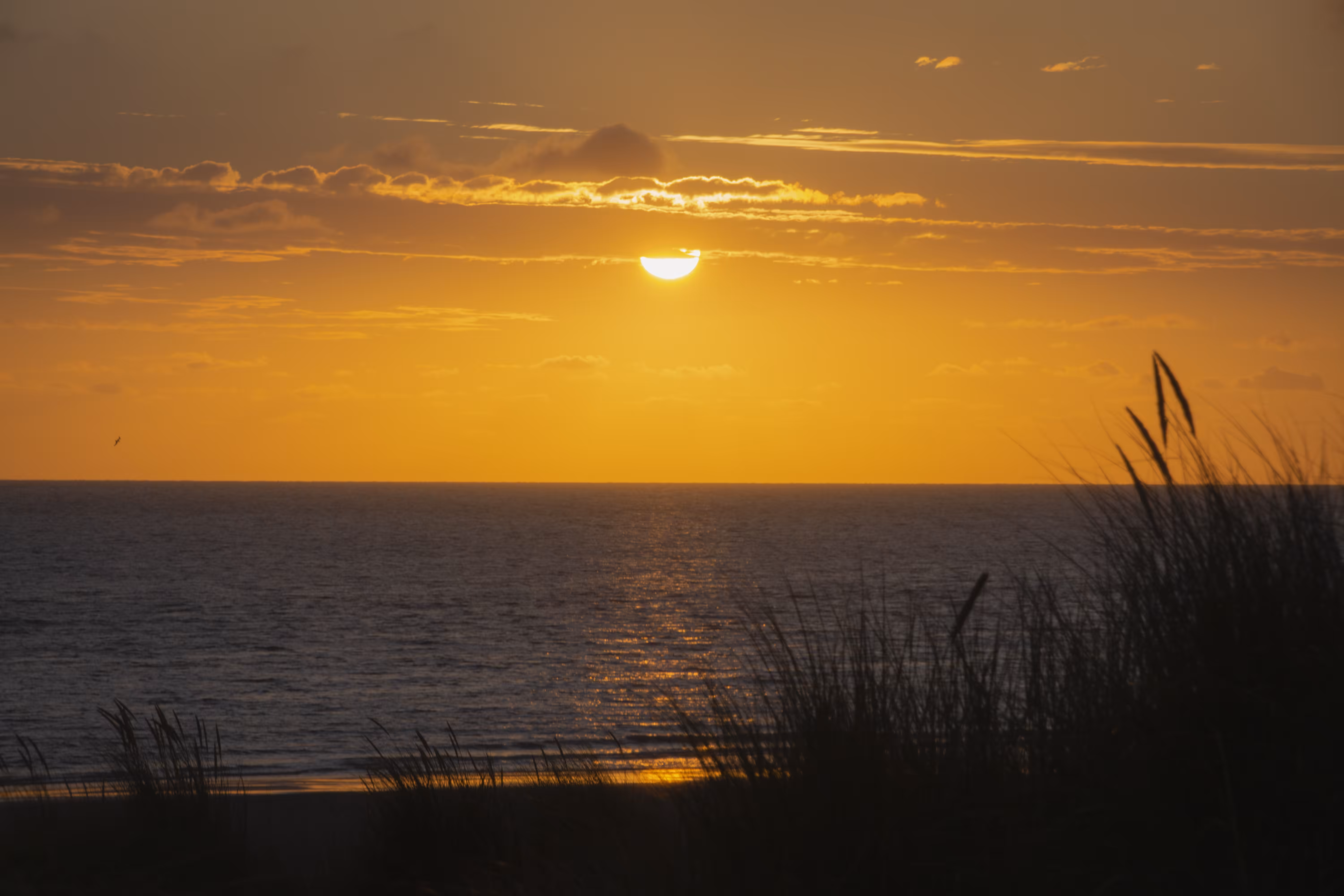 Sunset Magic