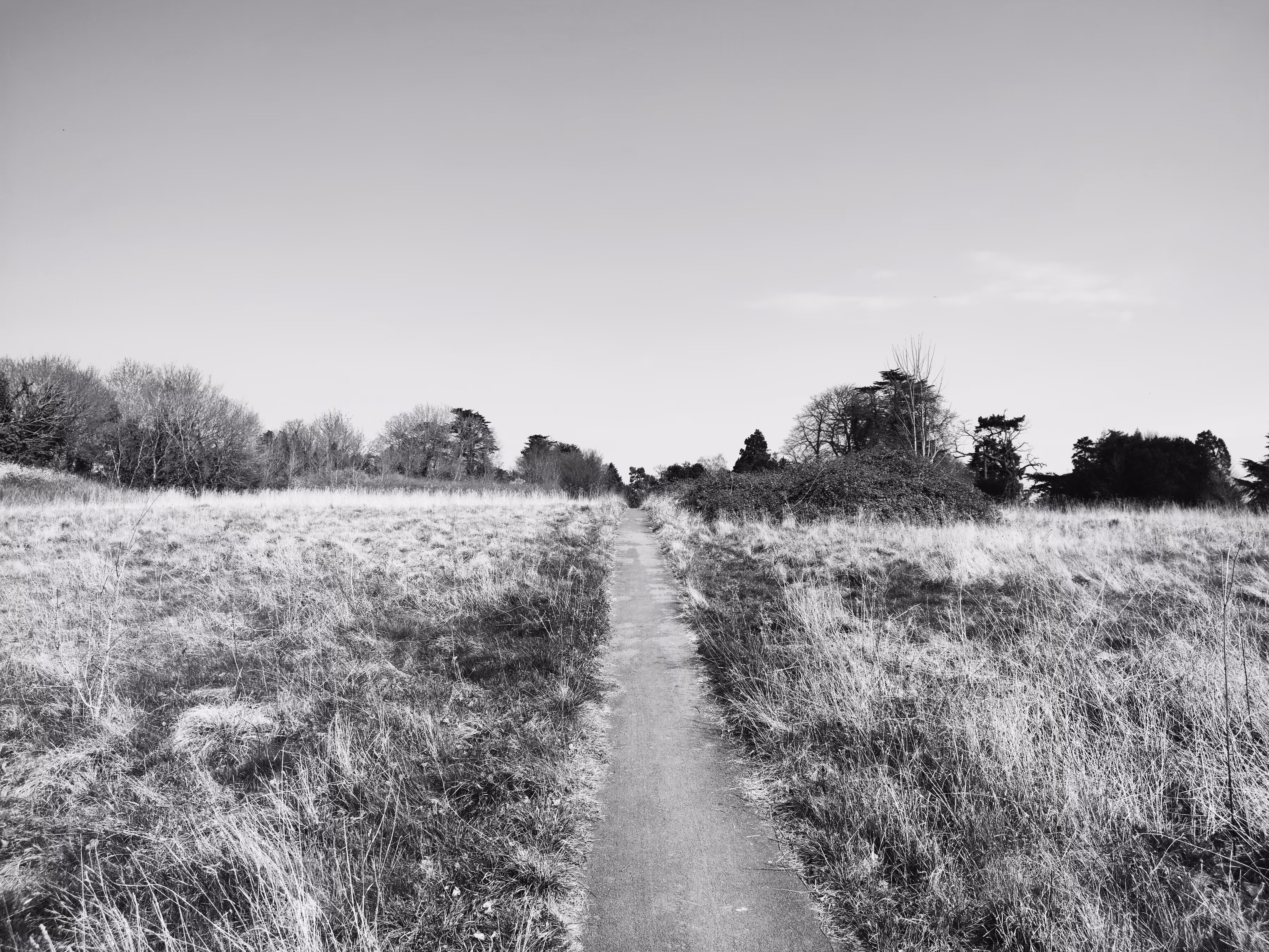 Road to nowhere 