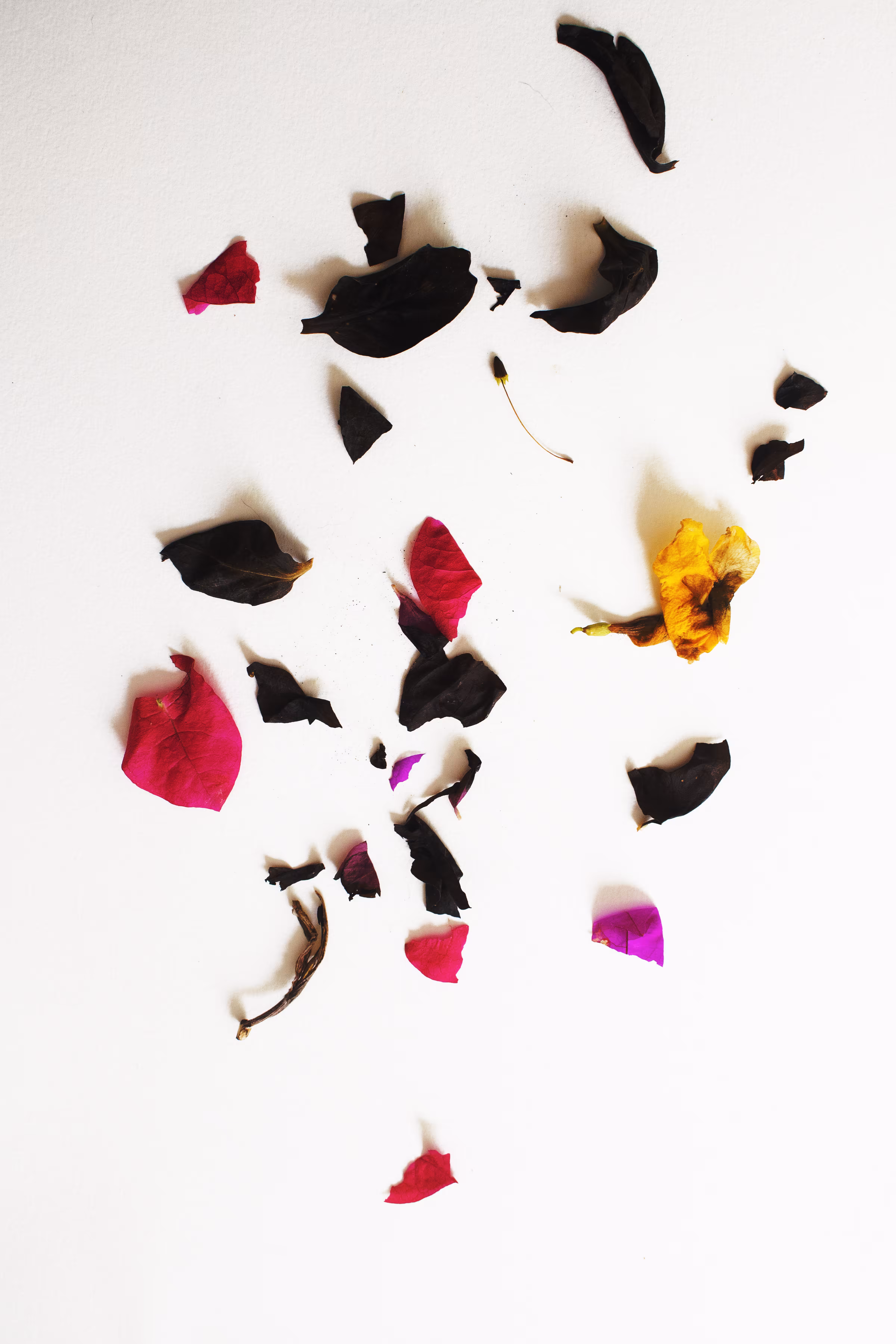 Petals