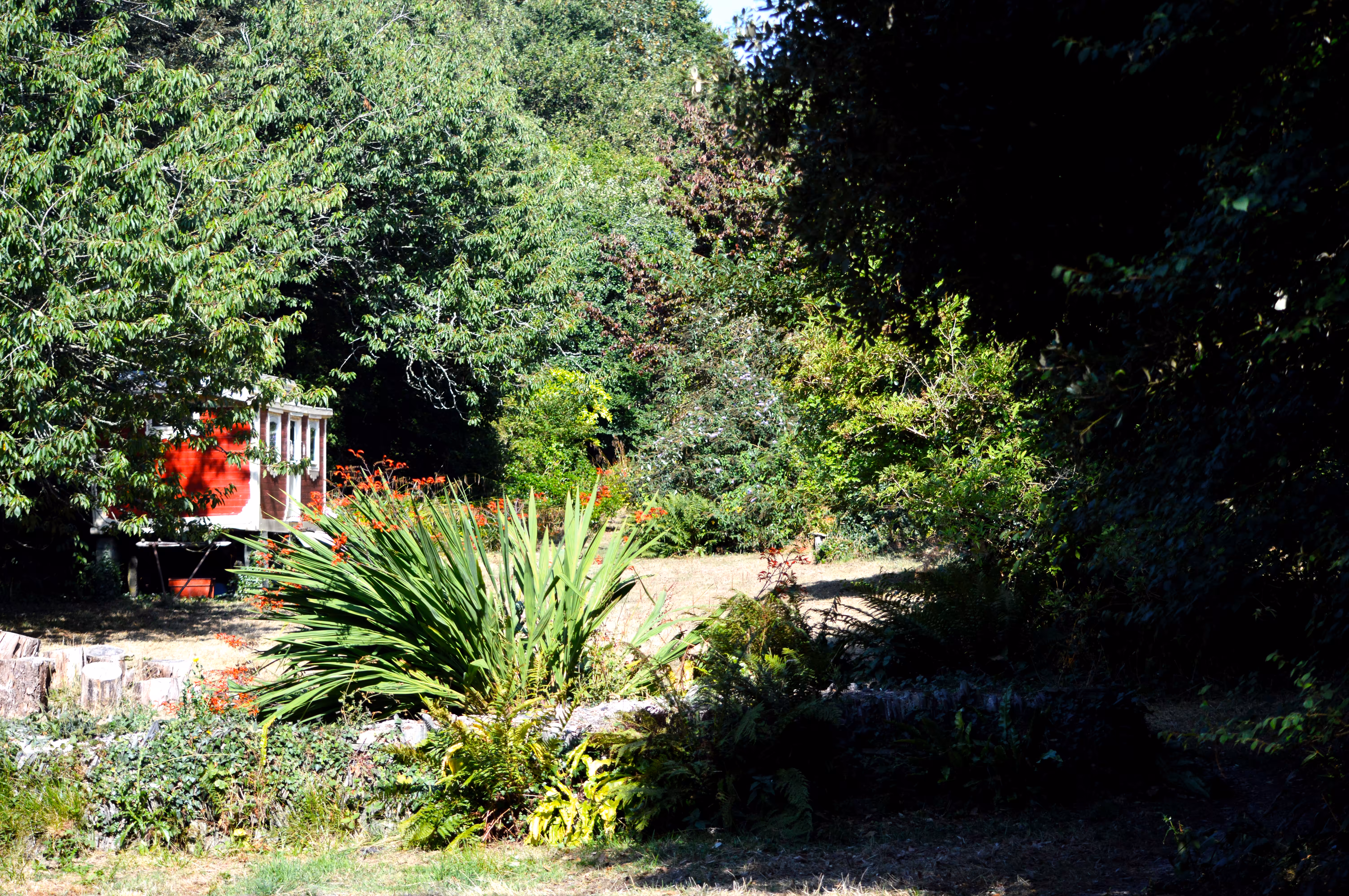 woodland hideaway