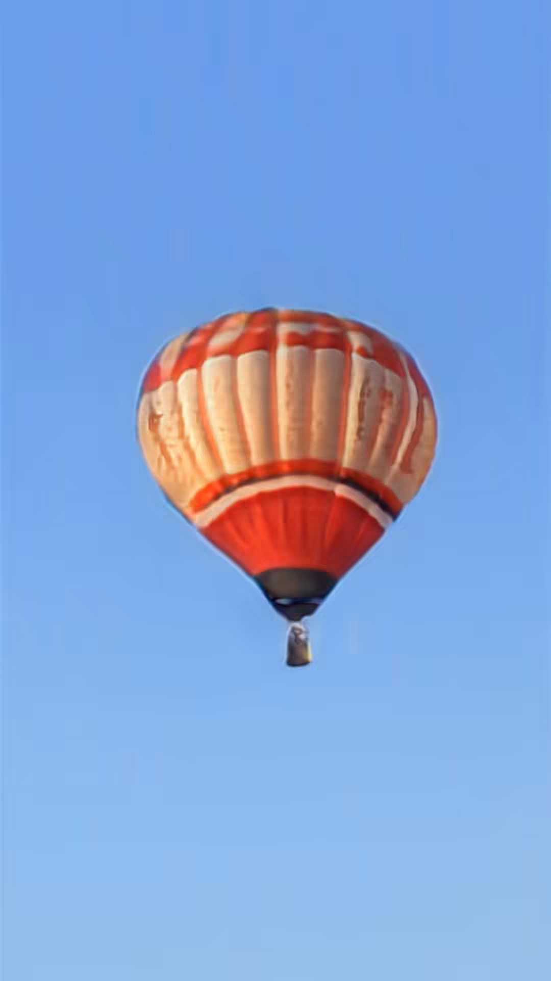 Balloons In The Sky — Bone fragments, grey