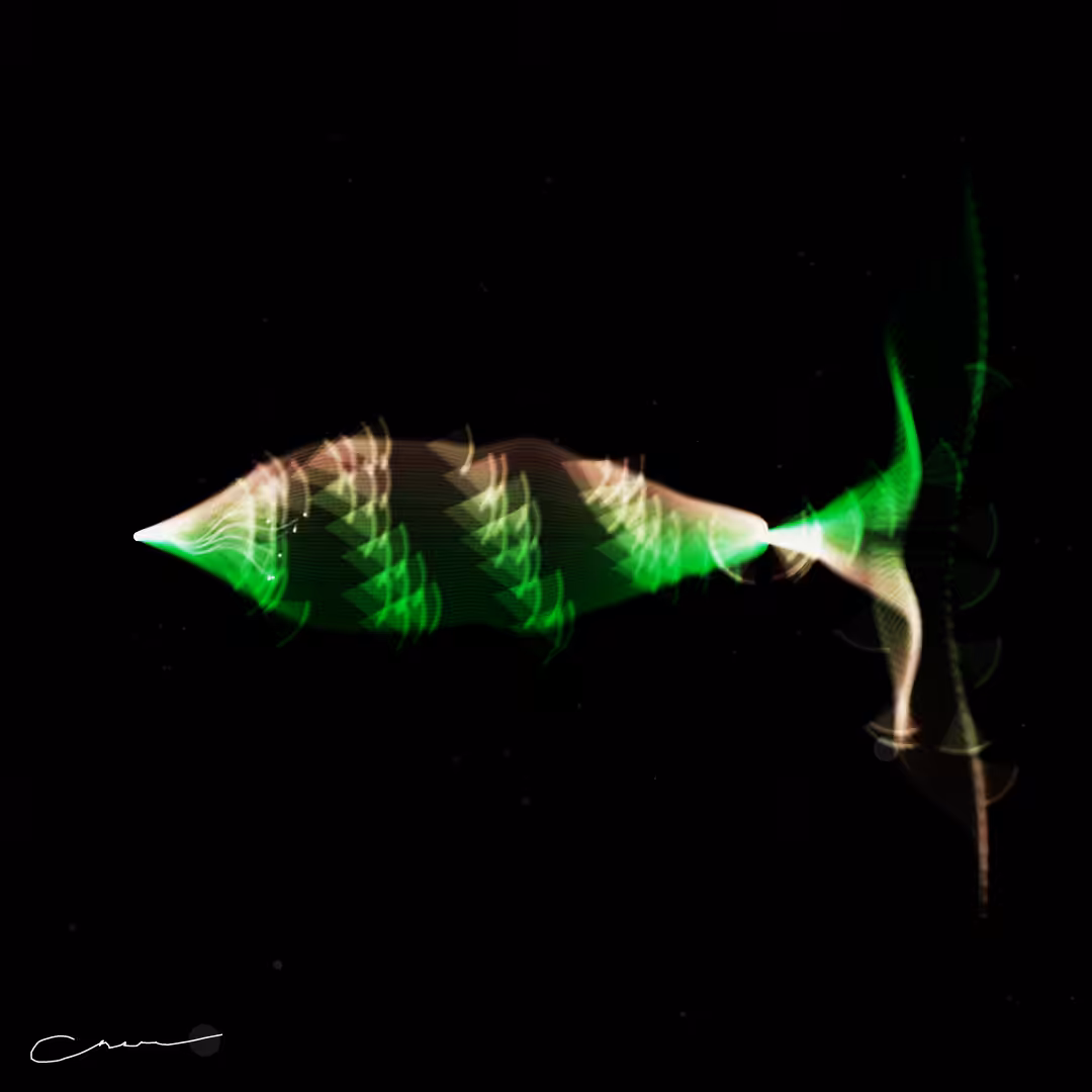 SoulFish #4