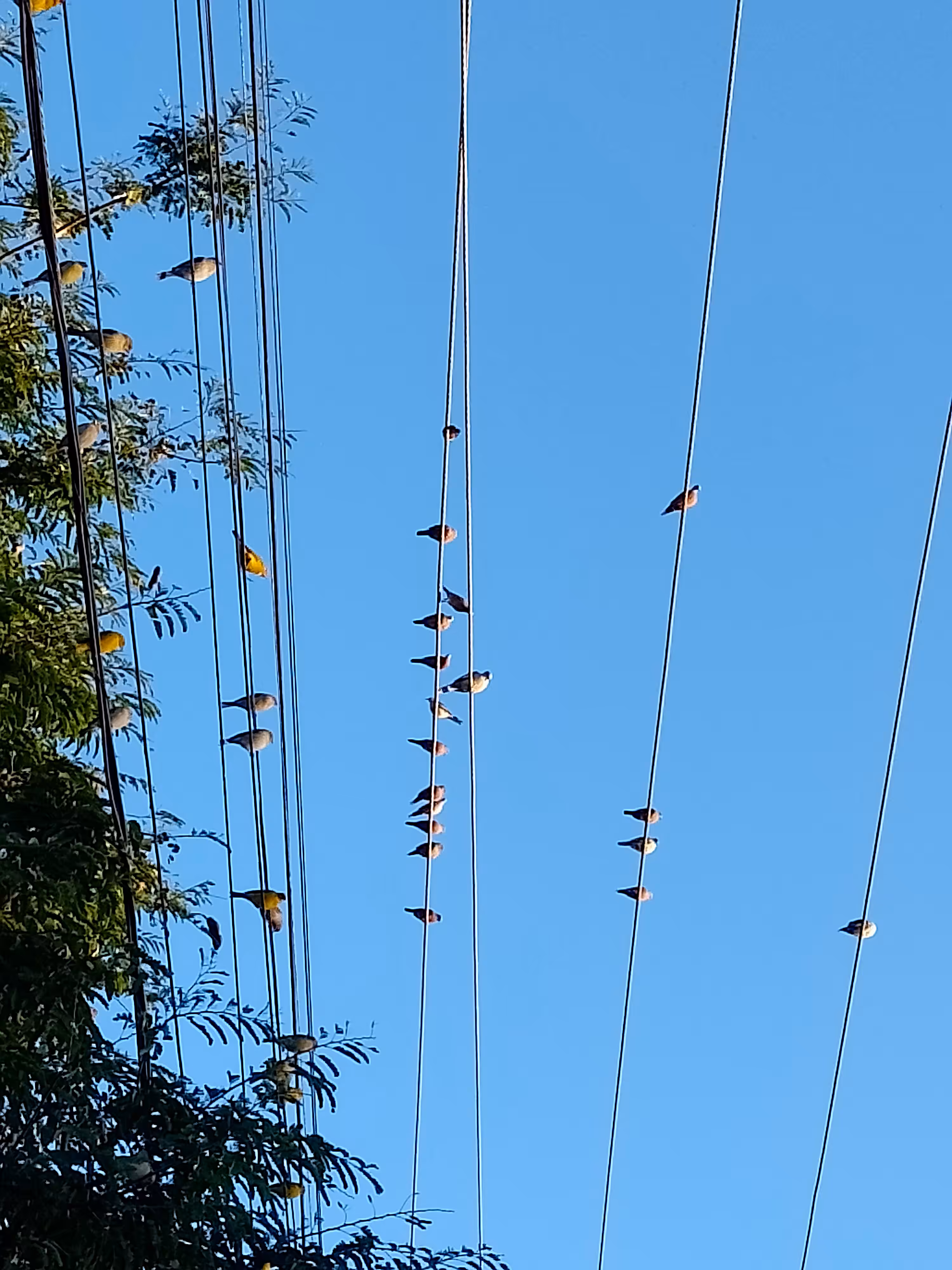 Look up