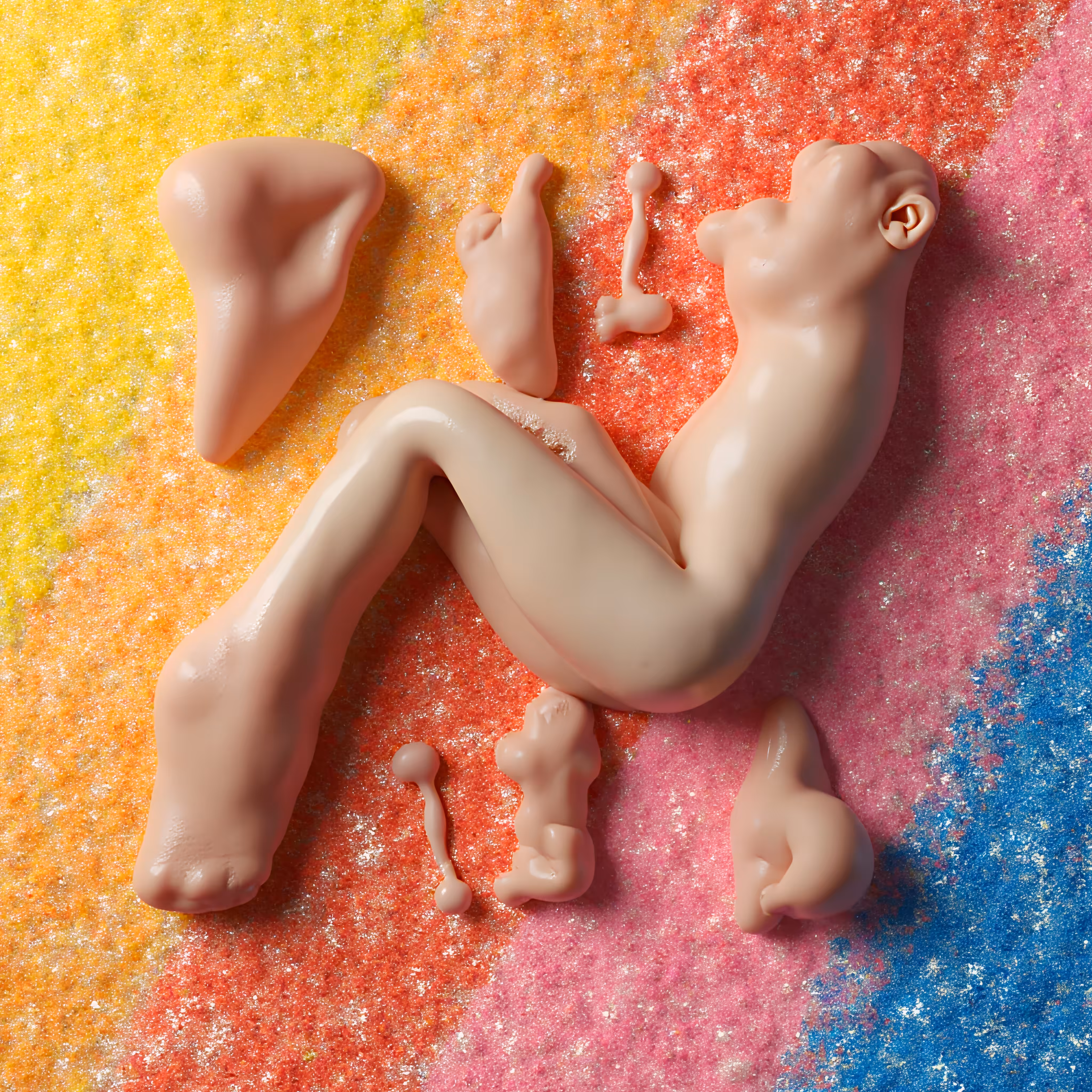 Fleshcore · 04