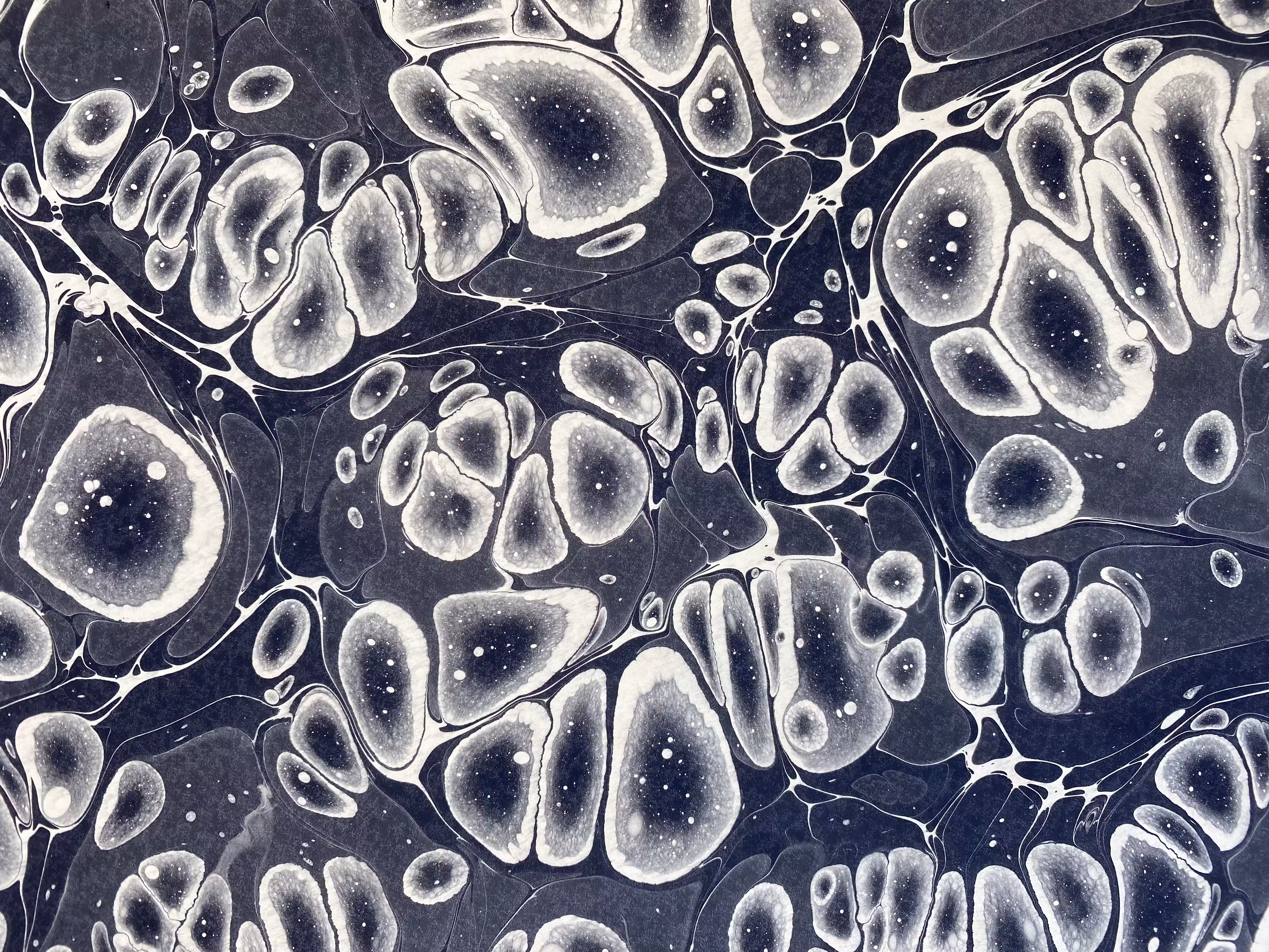 Monochrome Battal Ebrû / Marbling Art SE #8