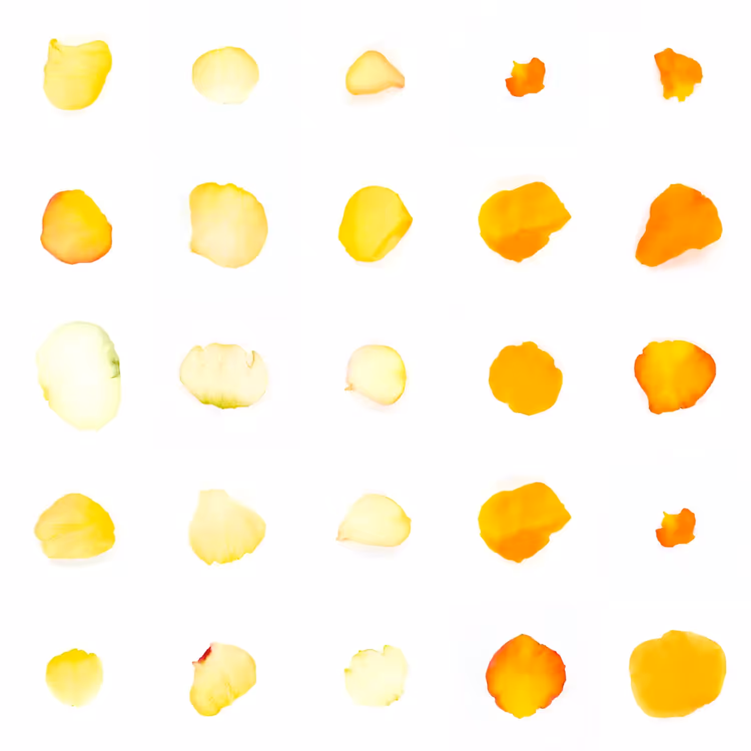 Infinite Petals 5x5#1465