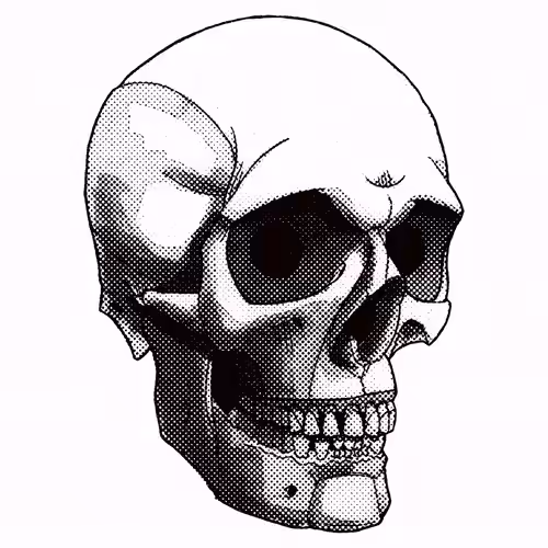 💀45 | CHROMATIC GLITCH SKULL 04