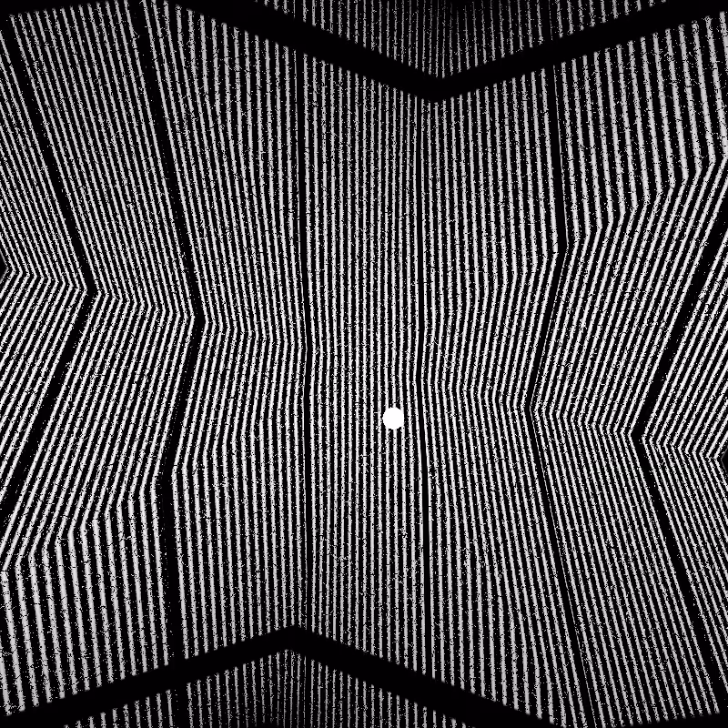 CARBON #19