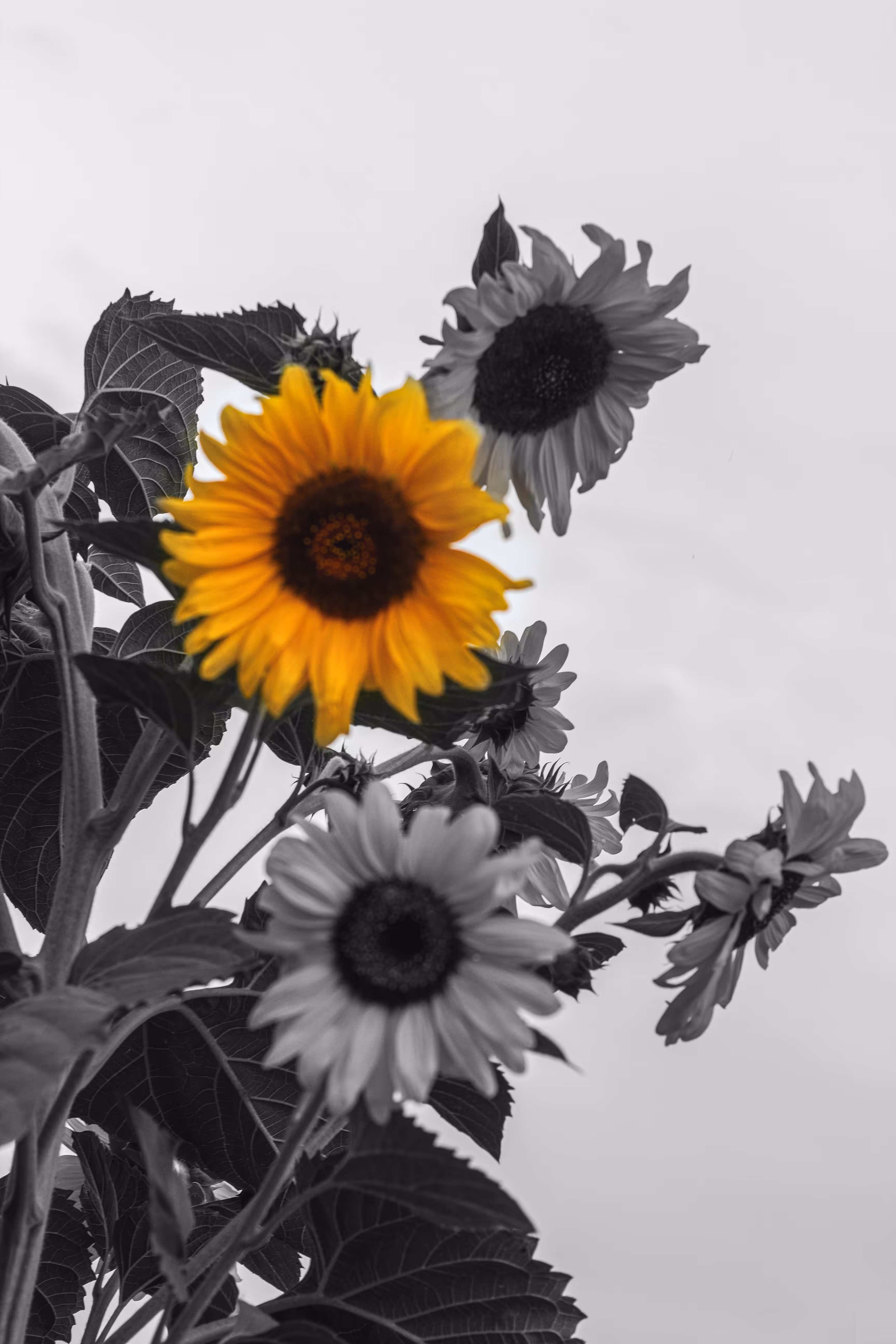 hope