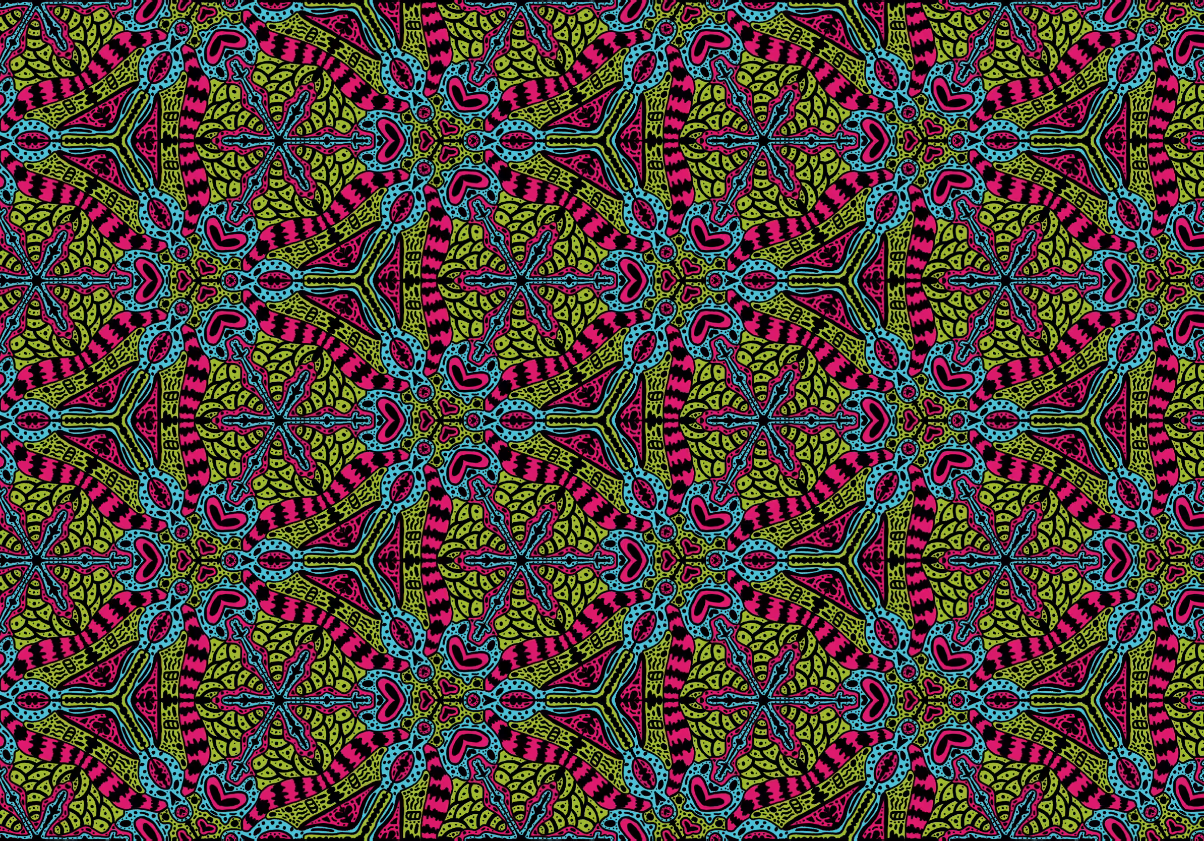 Naopifractus 008