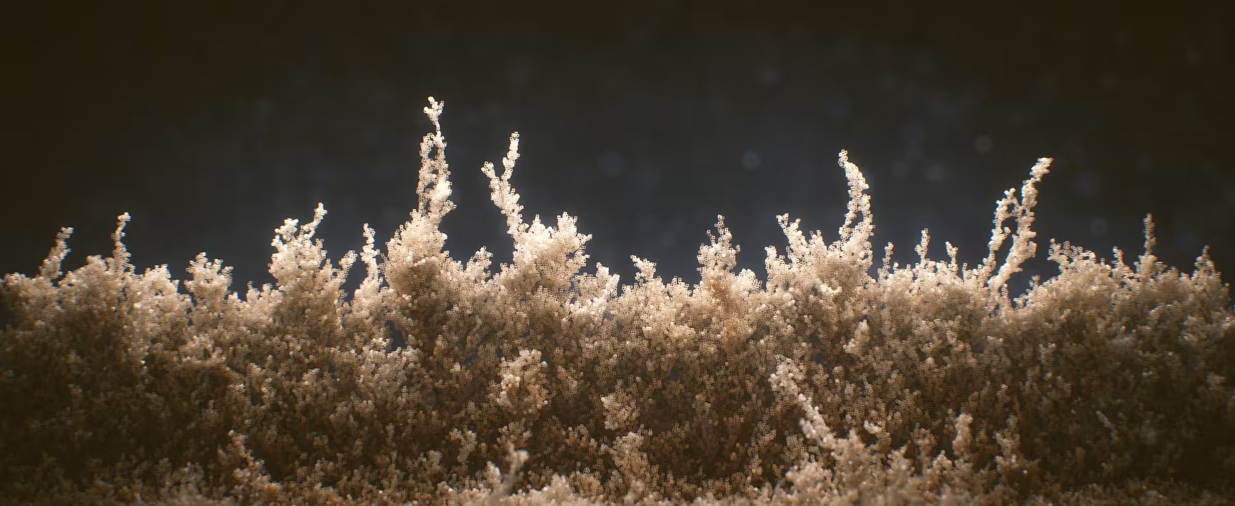 Aggregation 002