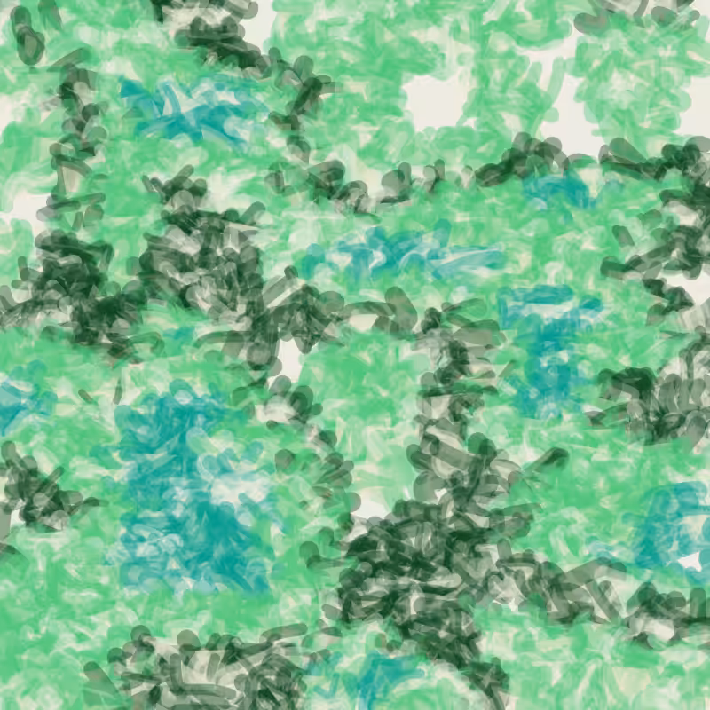 Petri 1500 #1130
