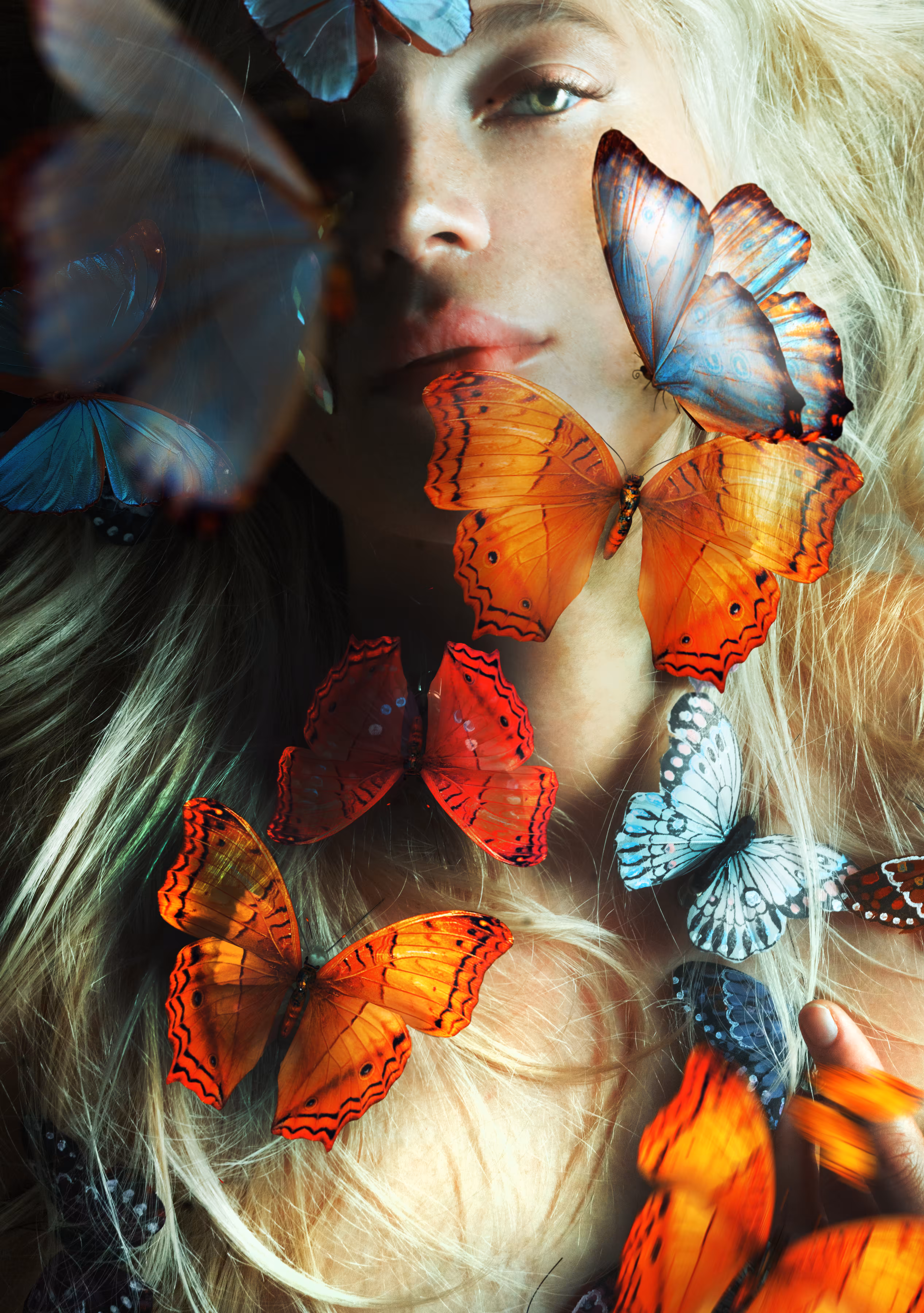 Portrait №5 Brittle