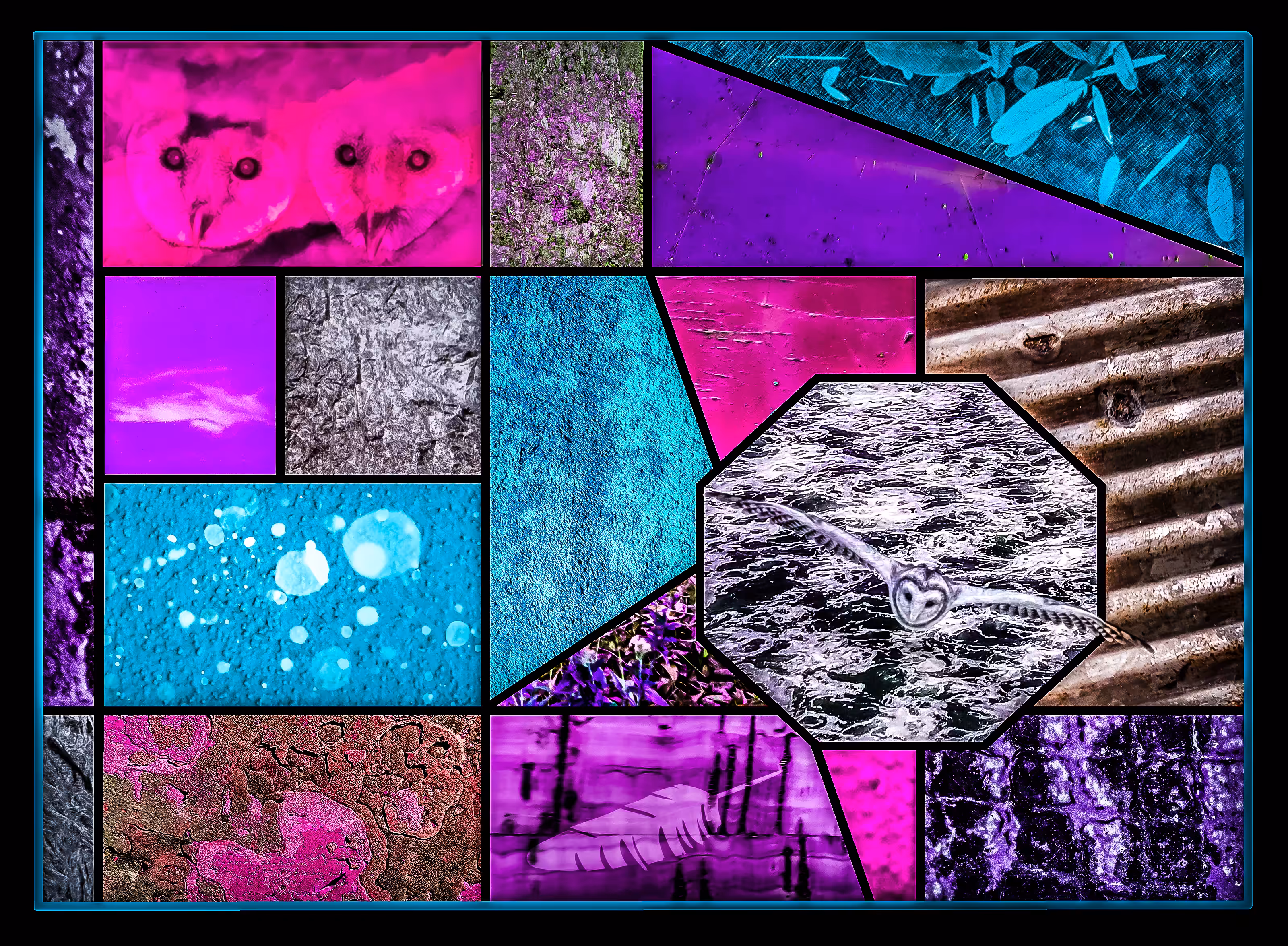 Art of a Feather 3