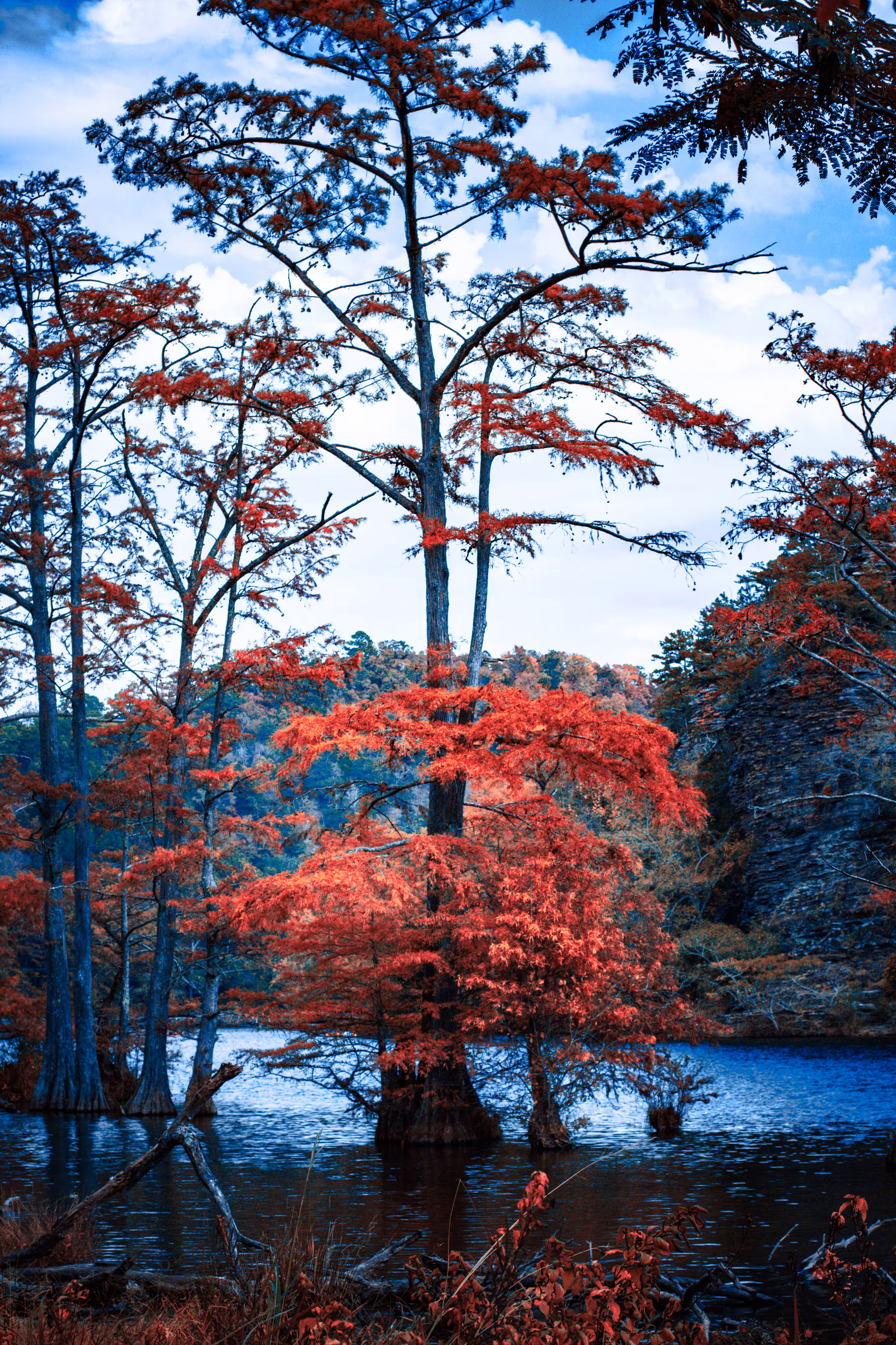 Color me Red