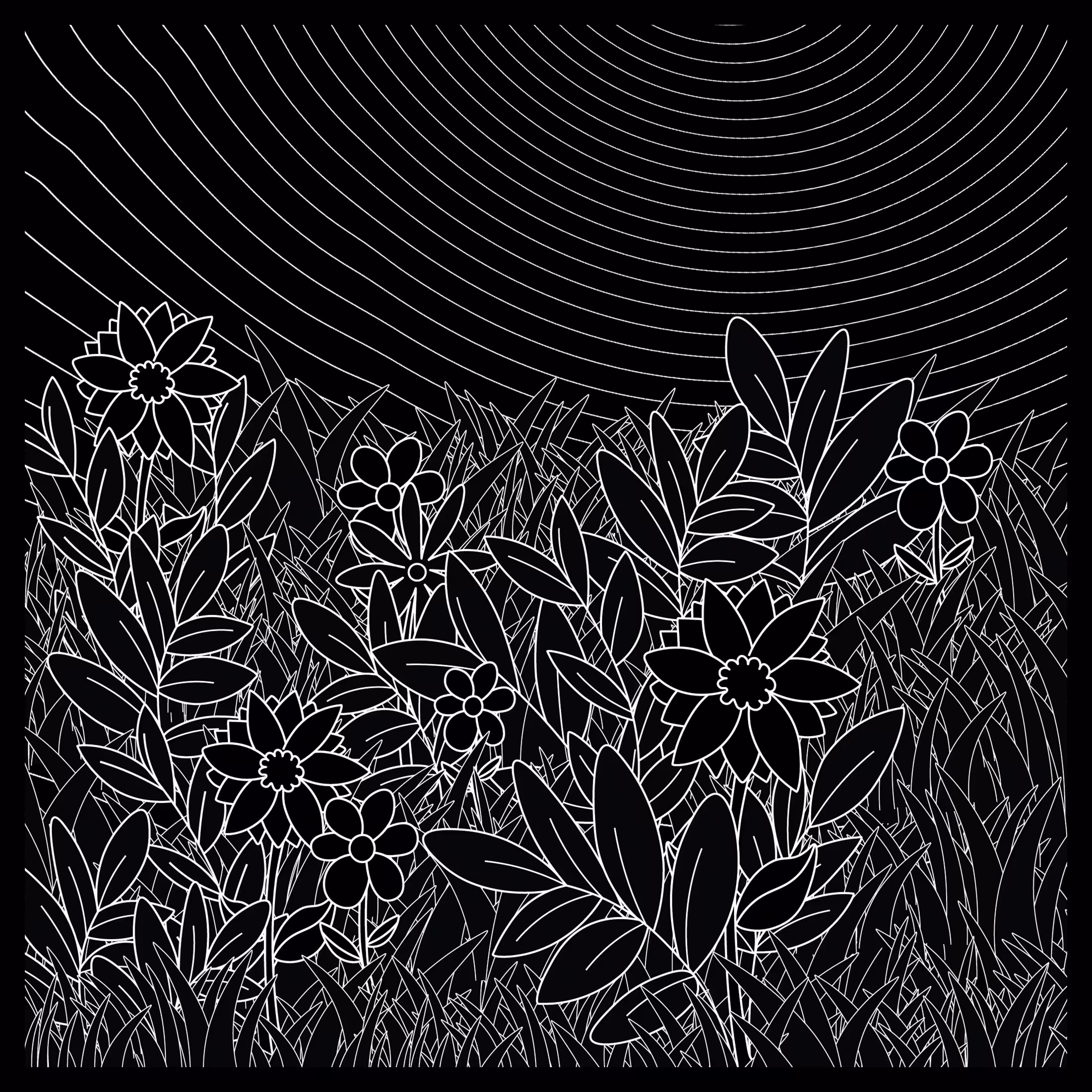 BWGarden #02