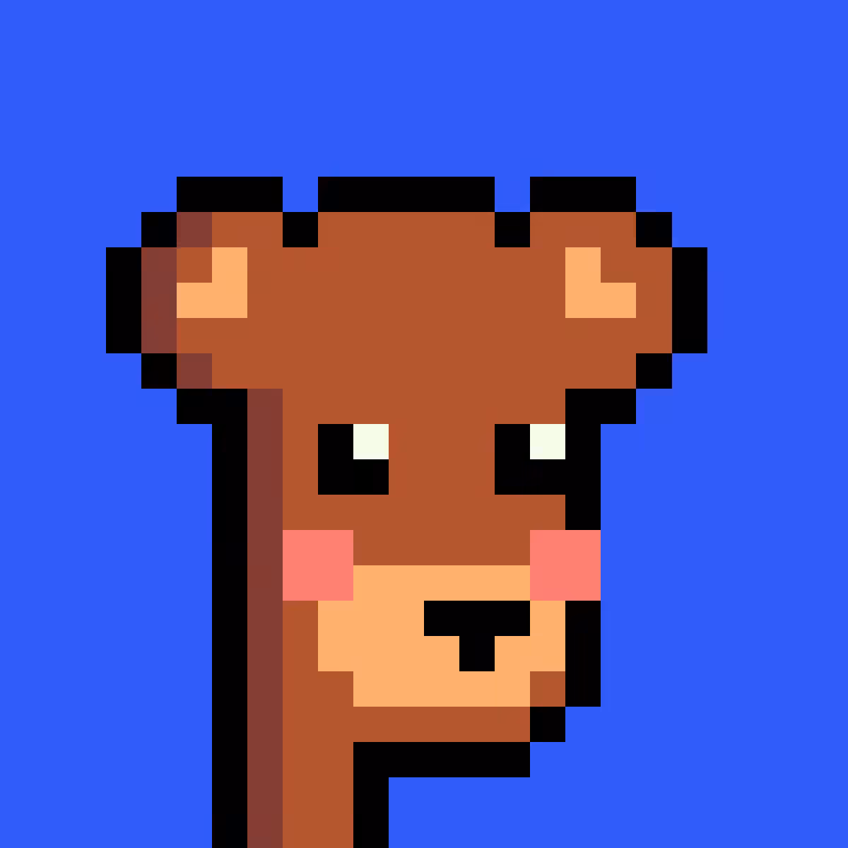 BearPunks #56