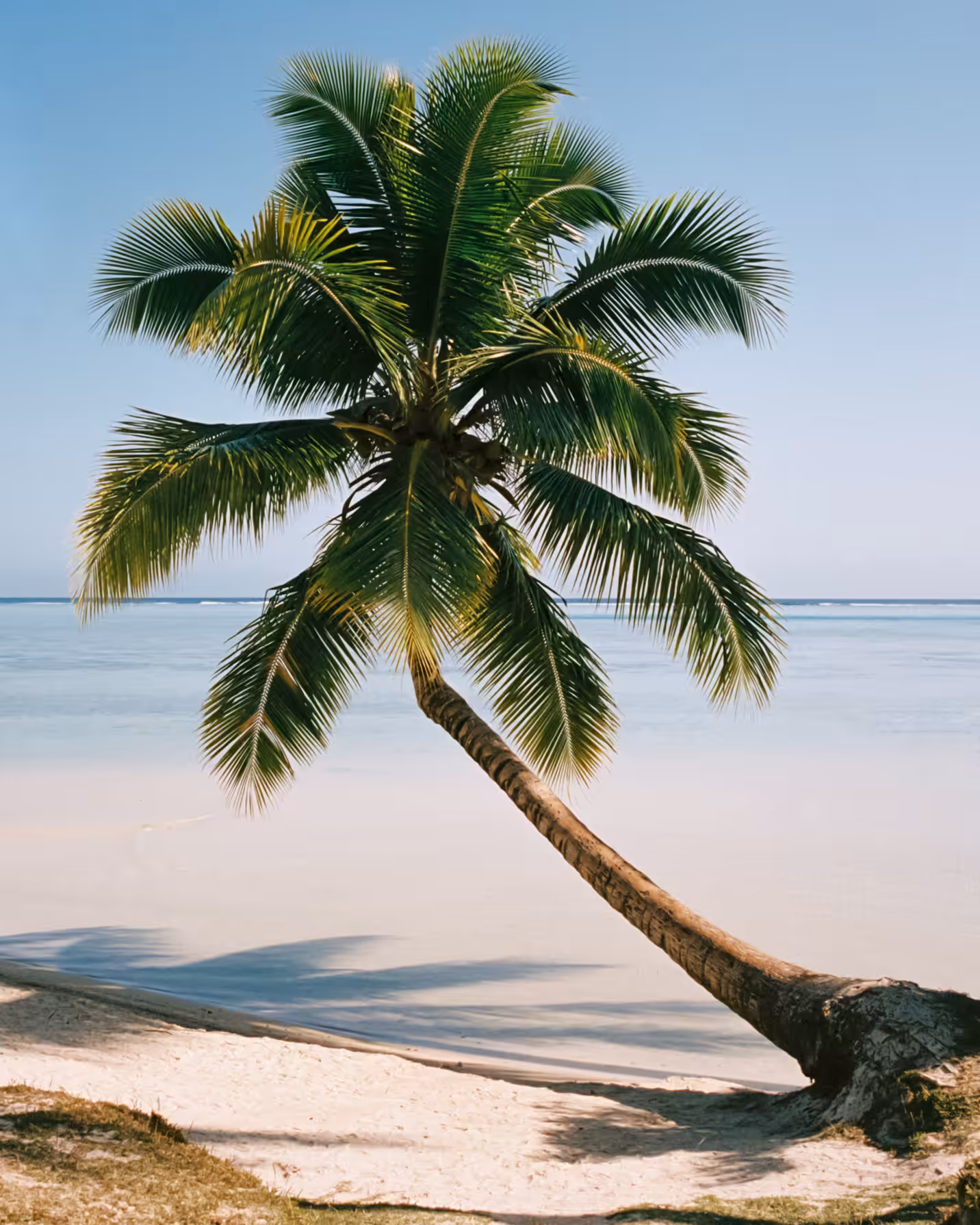 28- Mo'orea