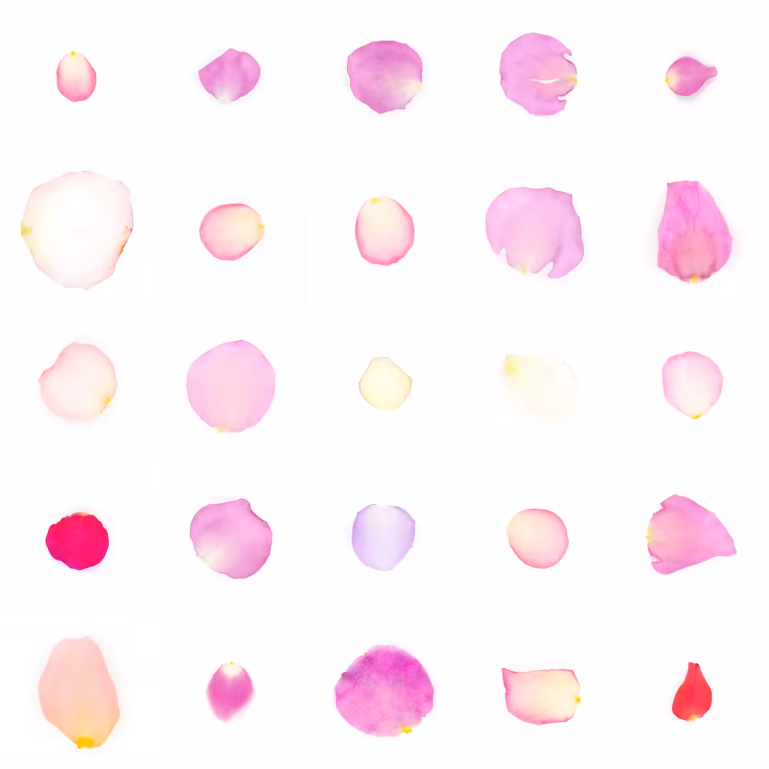 Infinite Petals 5x5#1200