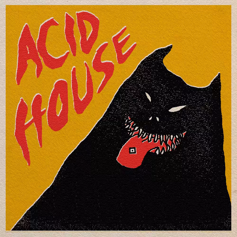 ACID HOUSE