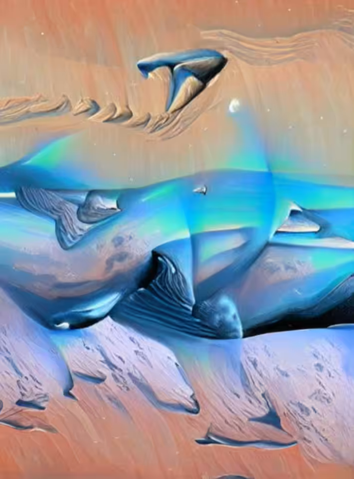 Whale Space (7/8/2021)