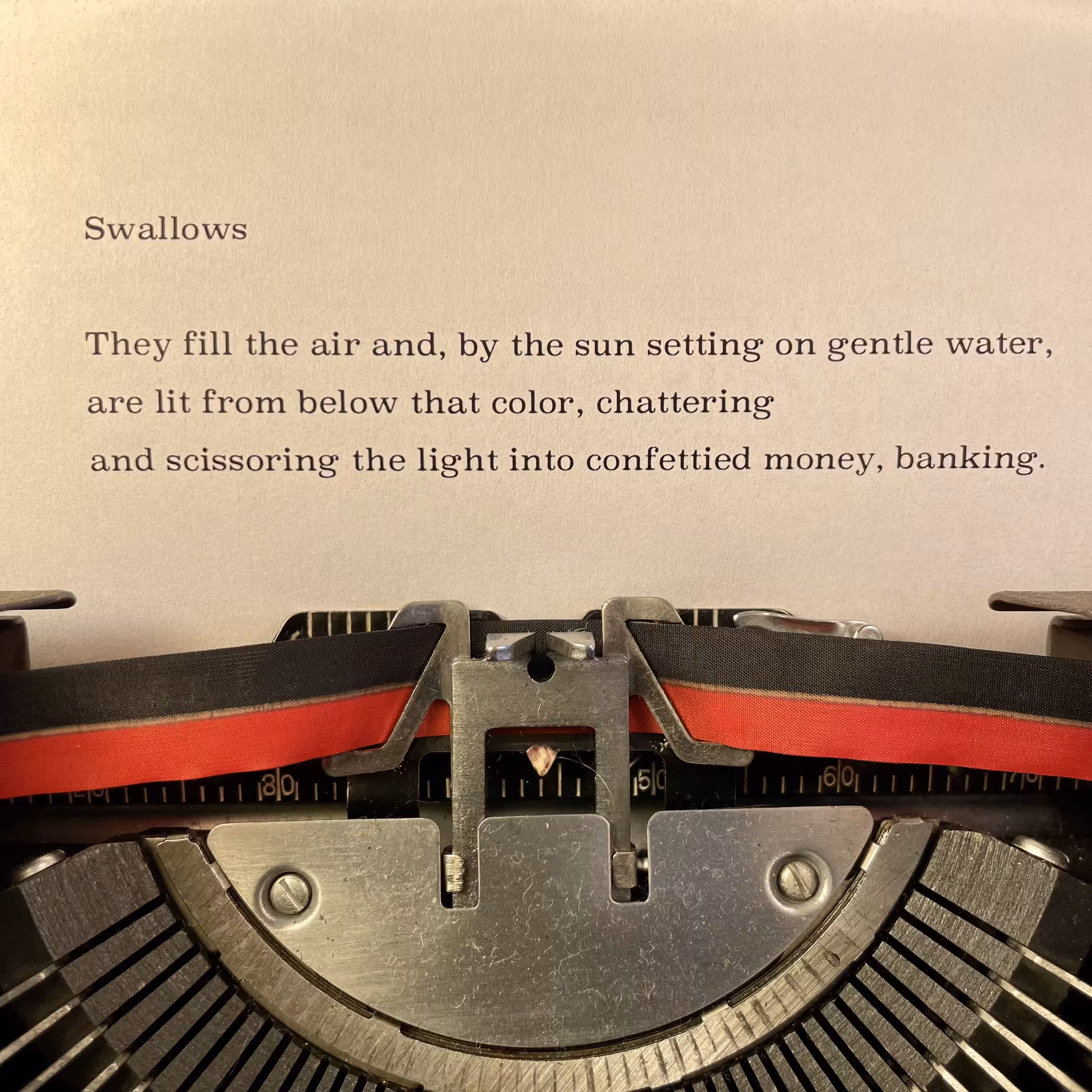 Love Poem Tercets: Swallows