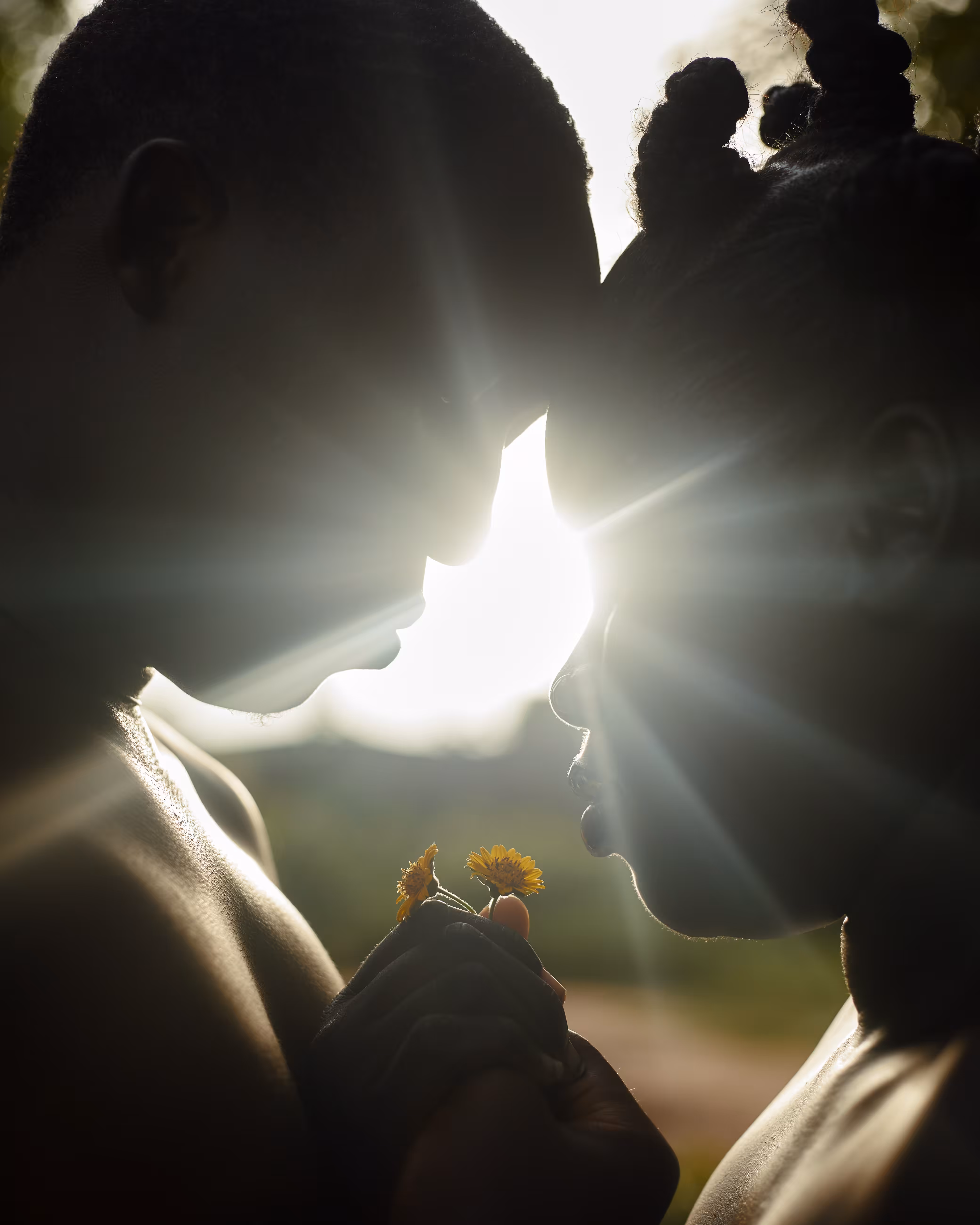 LOVE ,LIGHT AND FLOWERS 💐