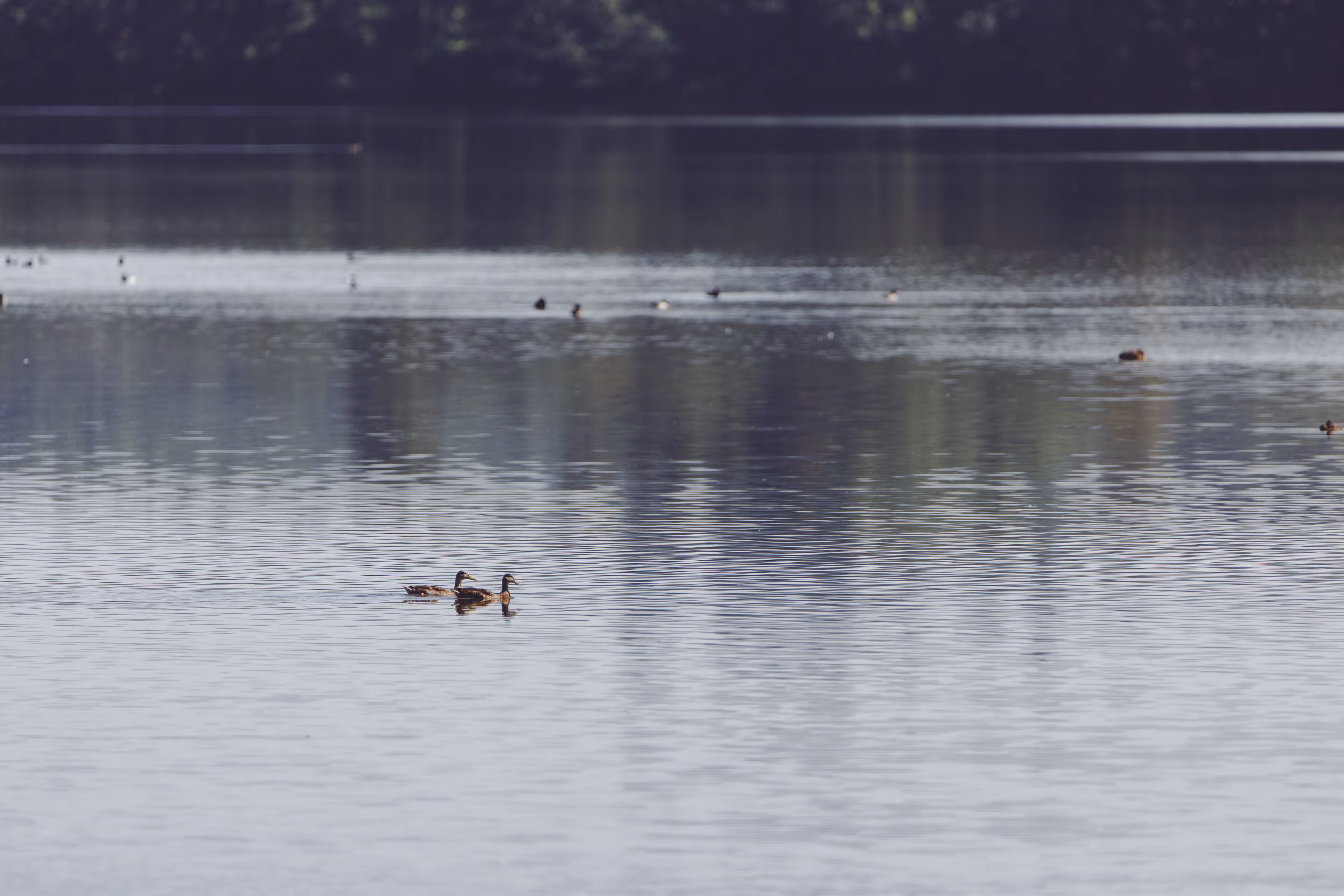 In Good Company