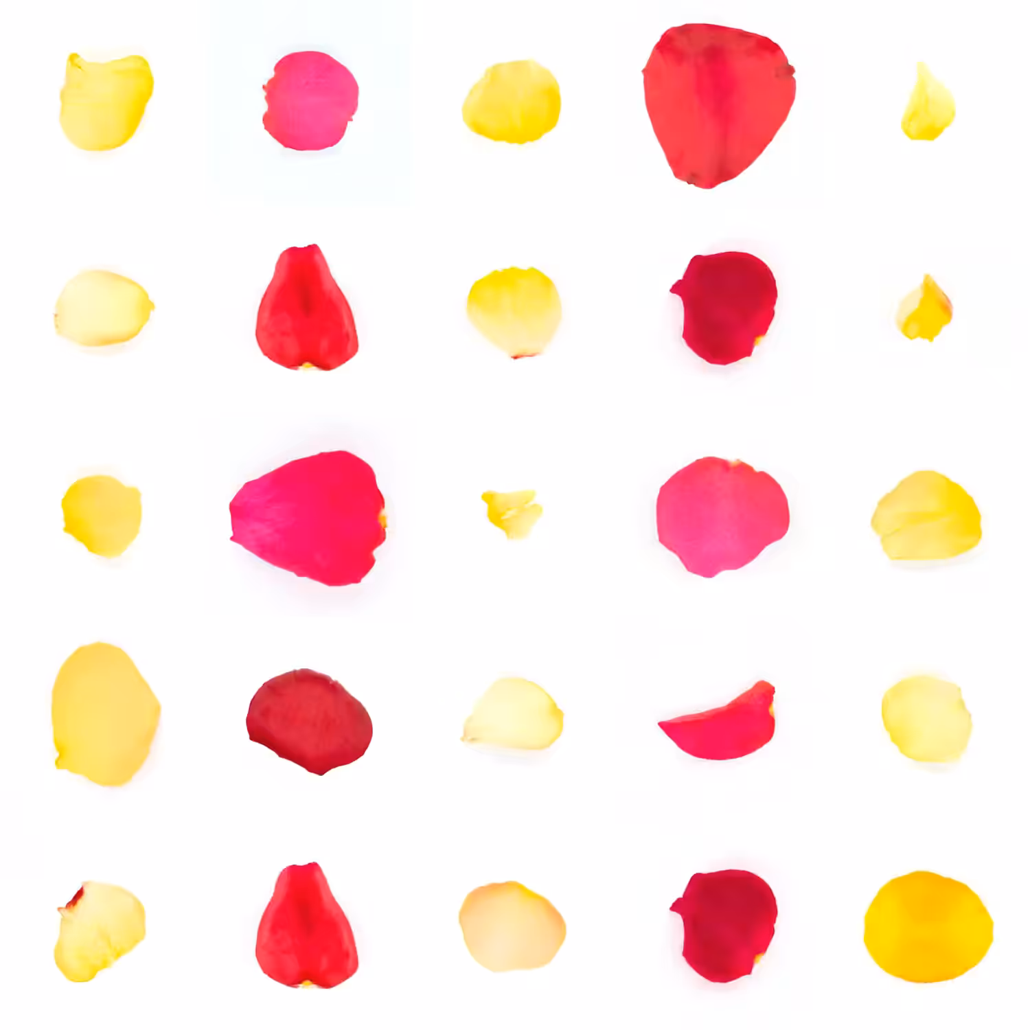Infinite Petals 5x5#20954