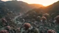 The Awakening: Aerial Fractal Trip in Rishikesh